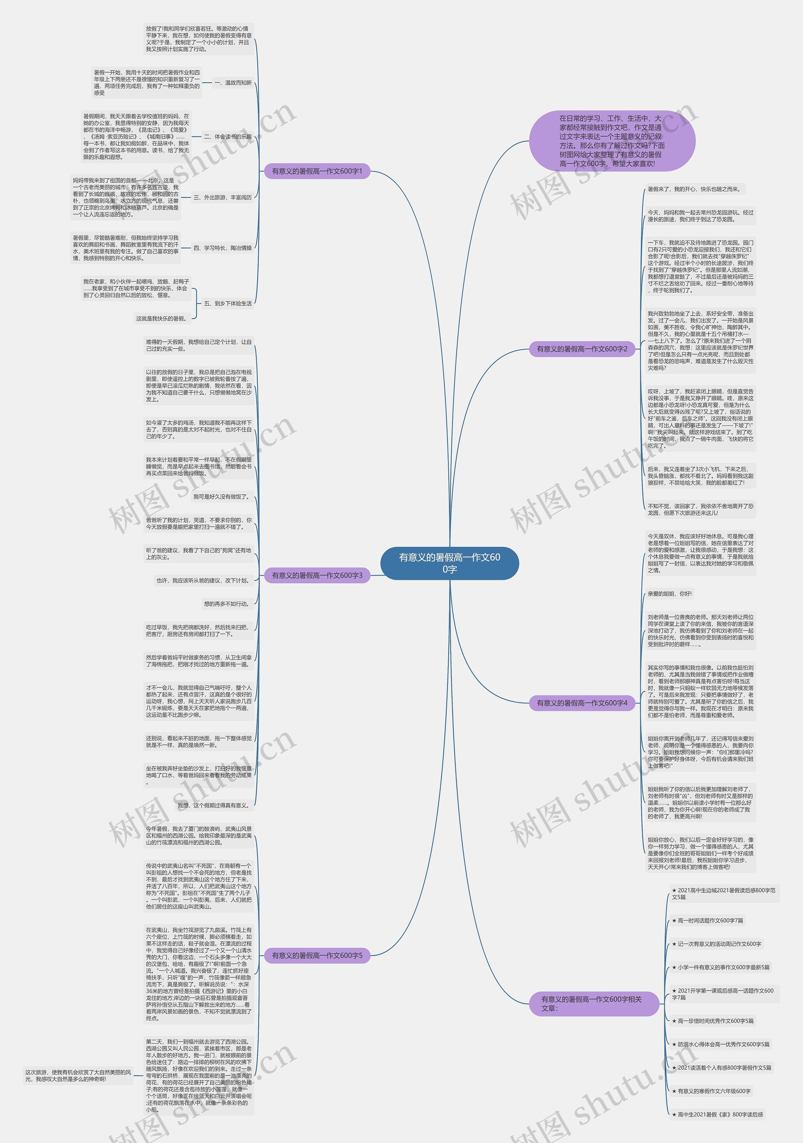 有意义的暑假高一作文600字思维导图