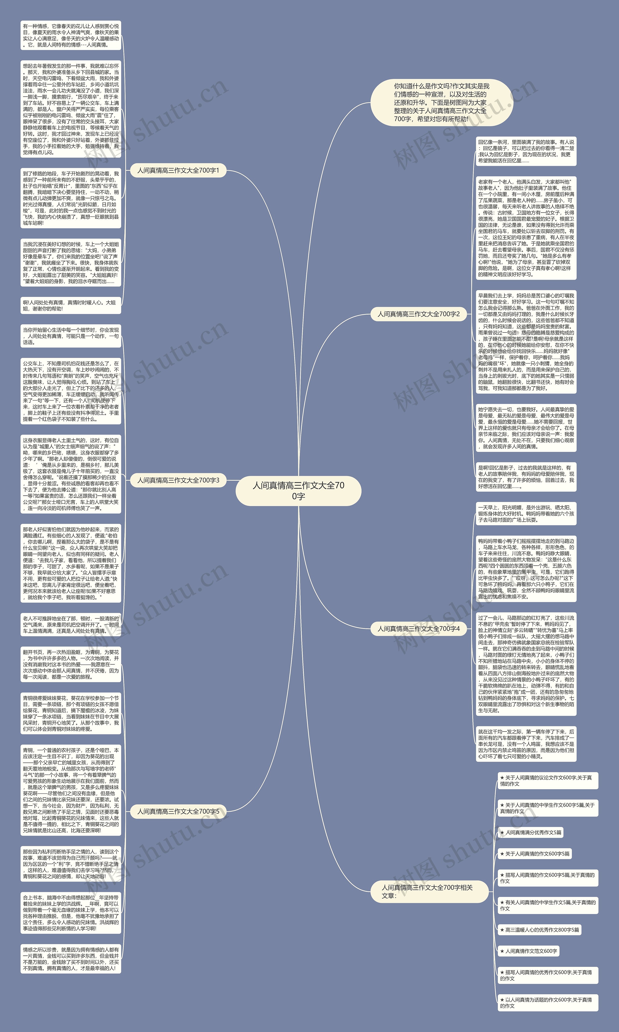 人间真情高三作文大全700字思维导图