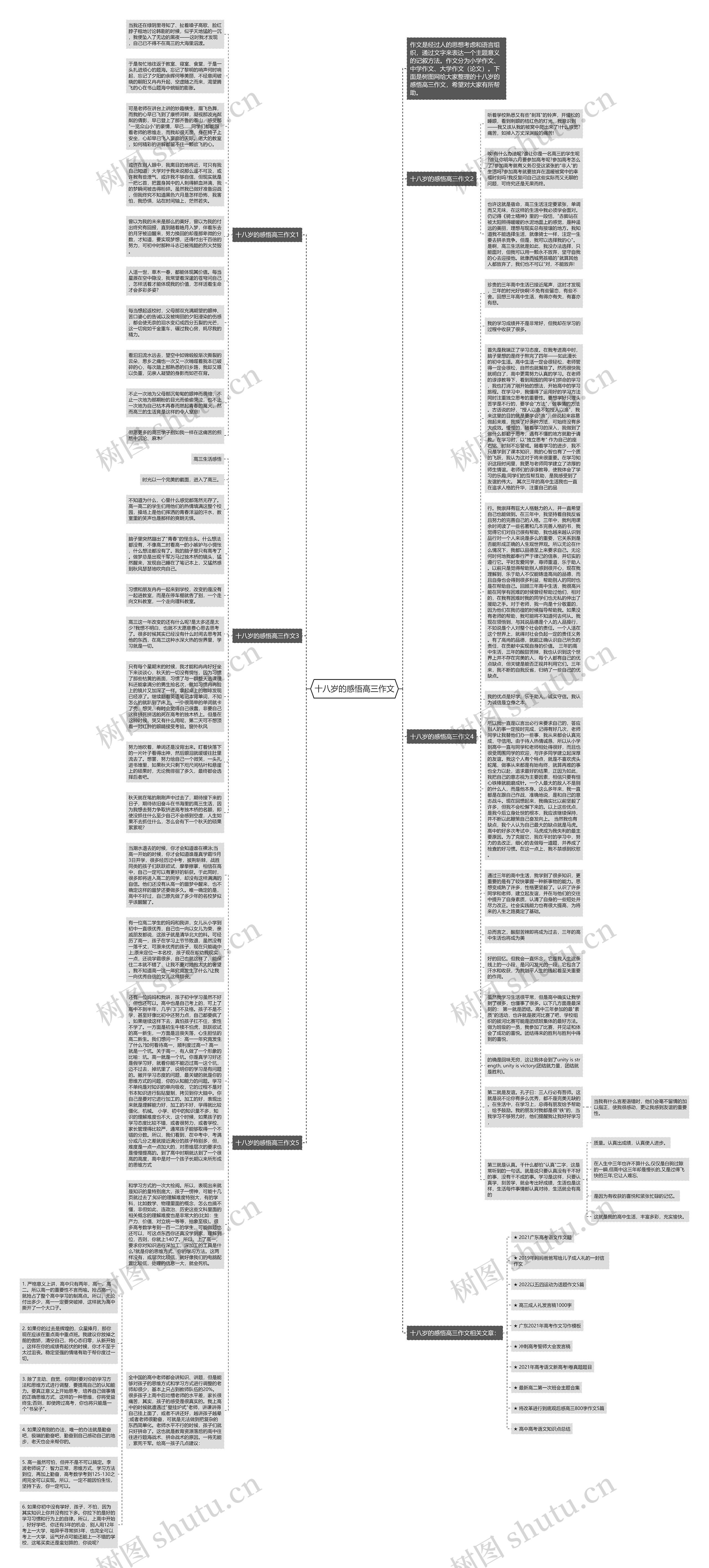 十八岁的感悟高三作文思维导图