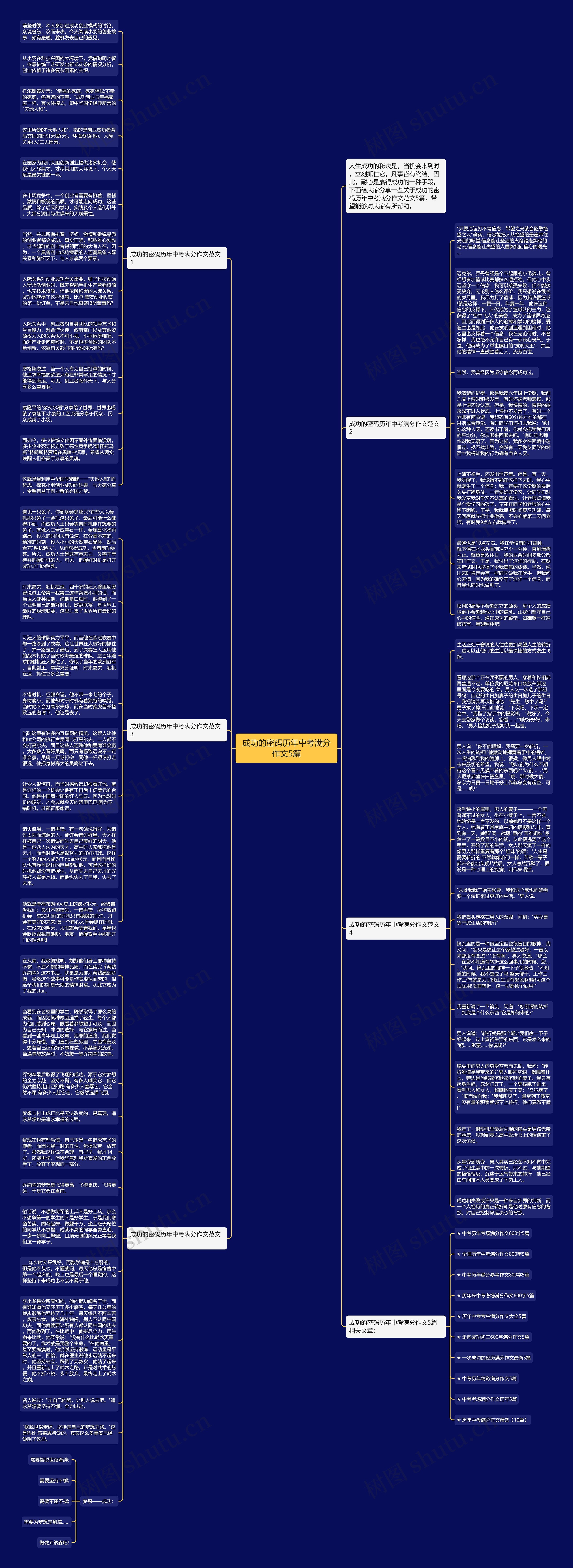 成功的密码历年中考满分作文5篇思维导图