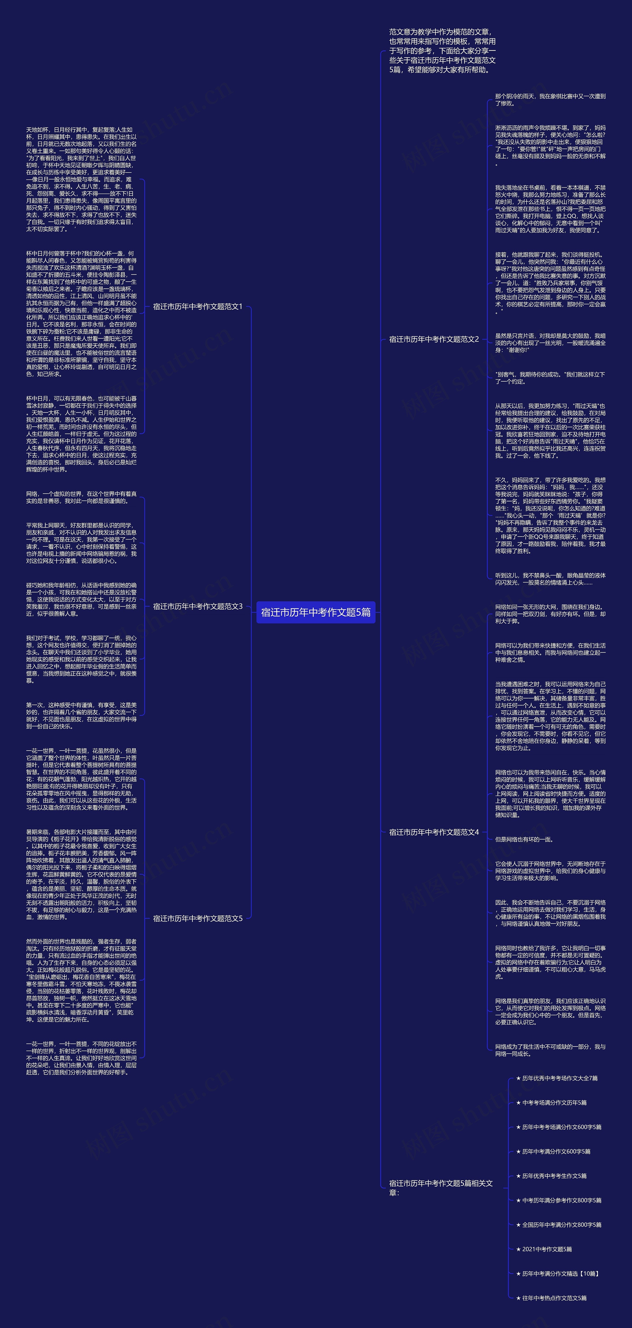 宿迁市历年中考作文题5篇思维导图