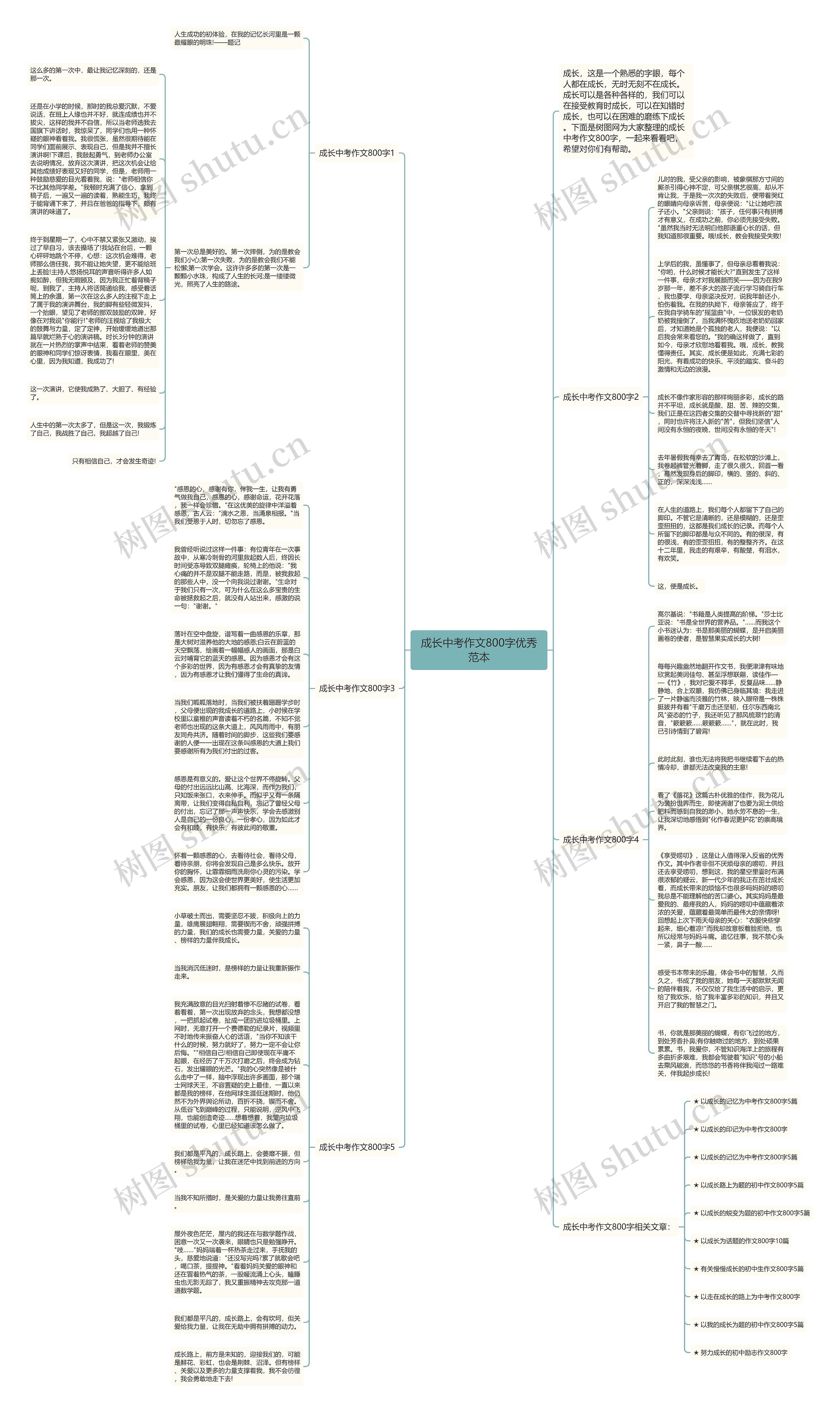 成长中考作文800字优秀范本思维导图