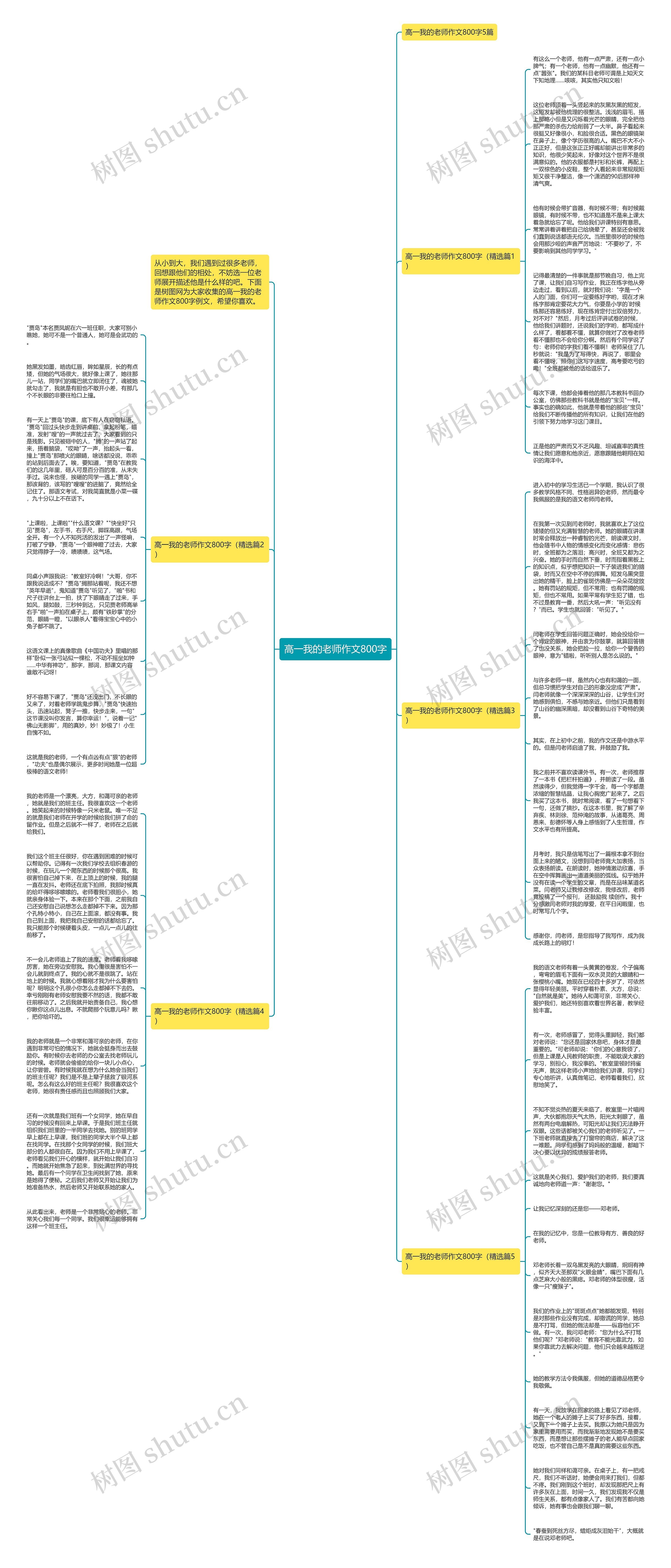 高一我的老师作文800字思维导图