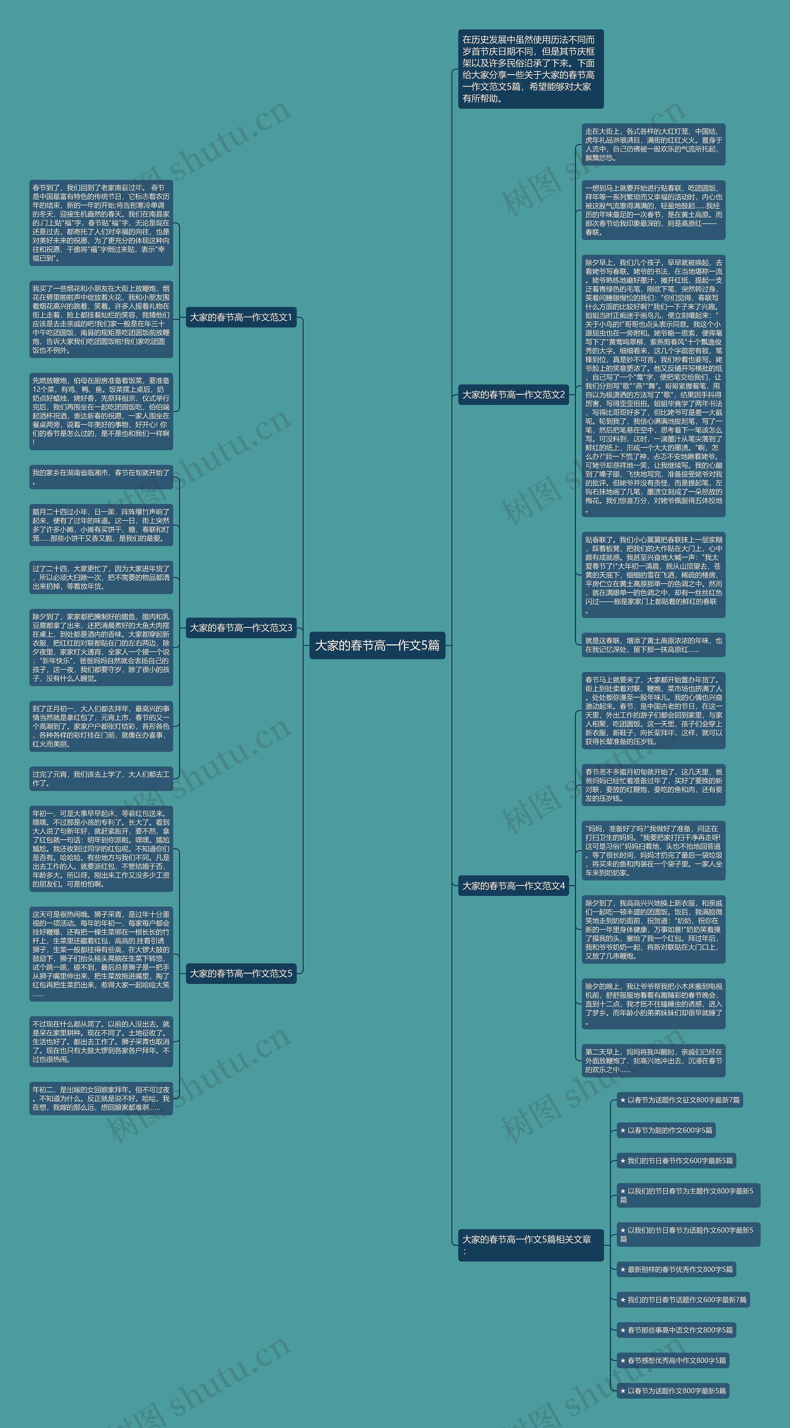 大家的春节高一作文5篇思维导图