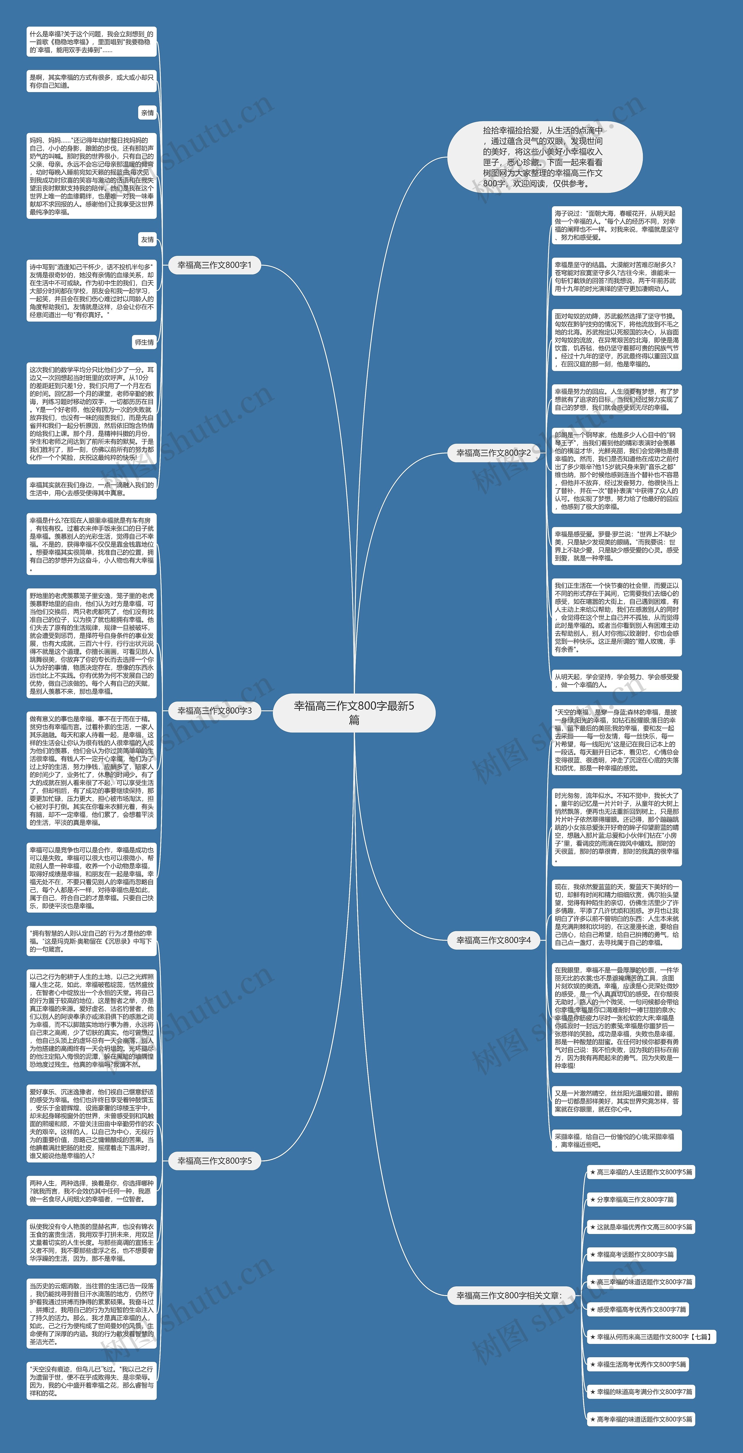 幸福高三作文800字最新5篇思维导图