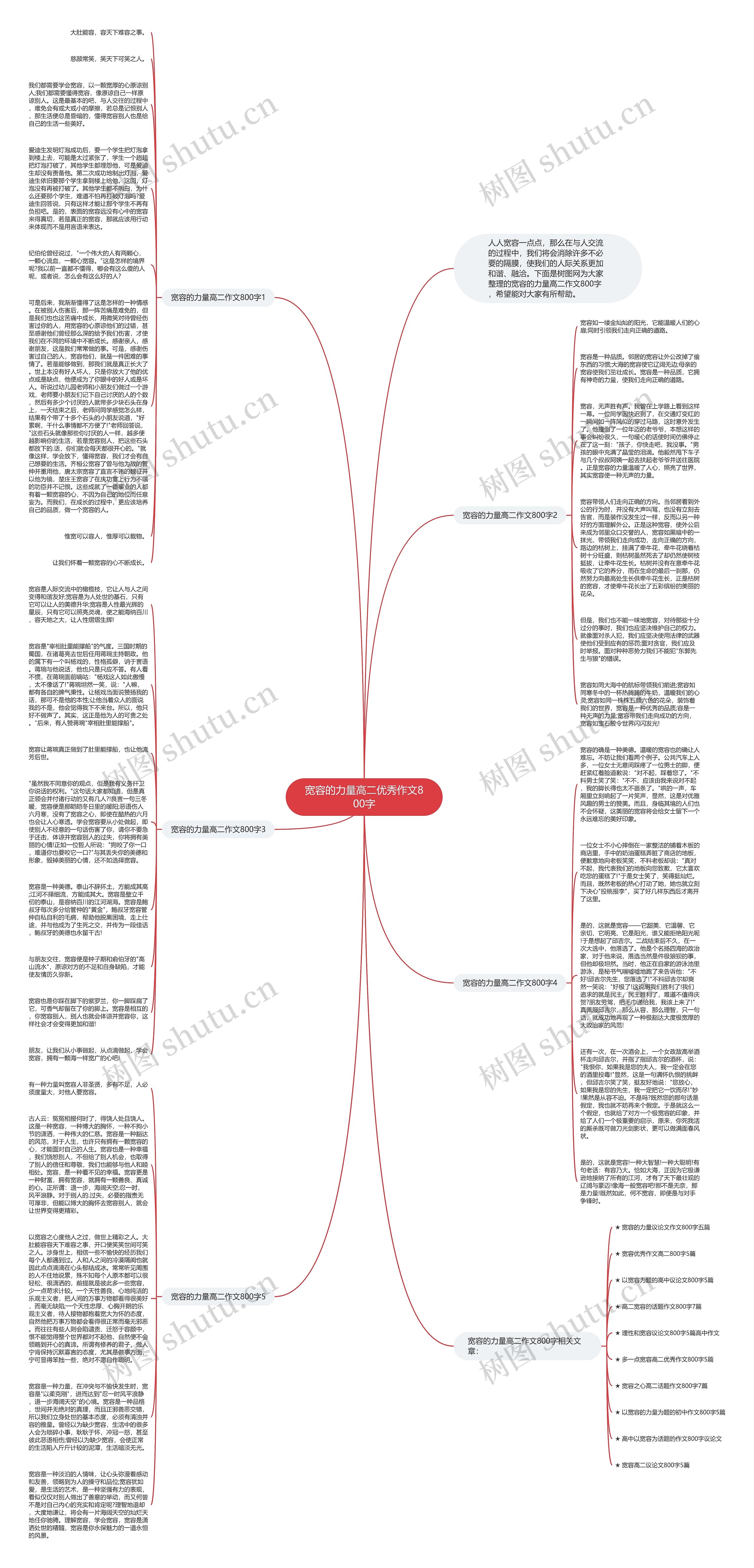 宽容的力量高二优秀作文800字思维导图
