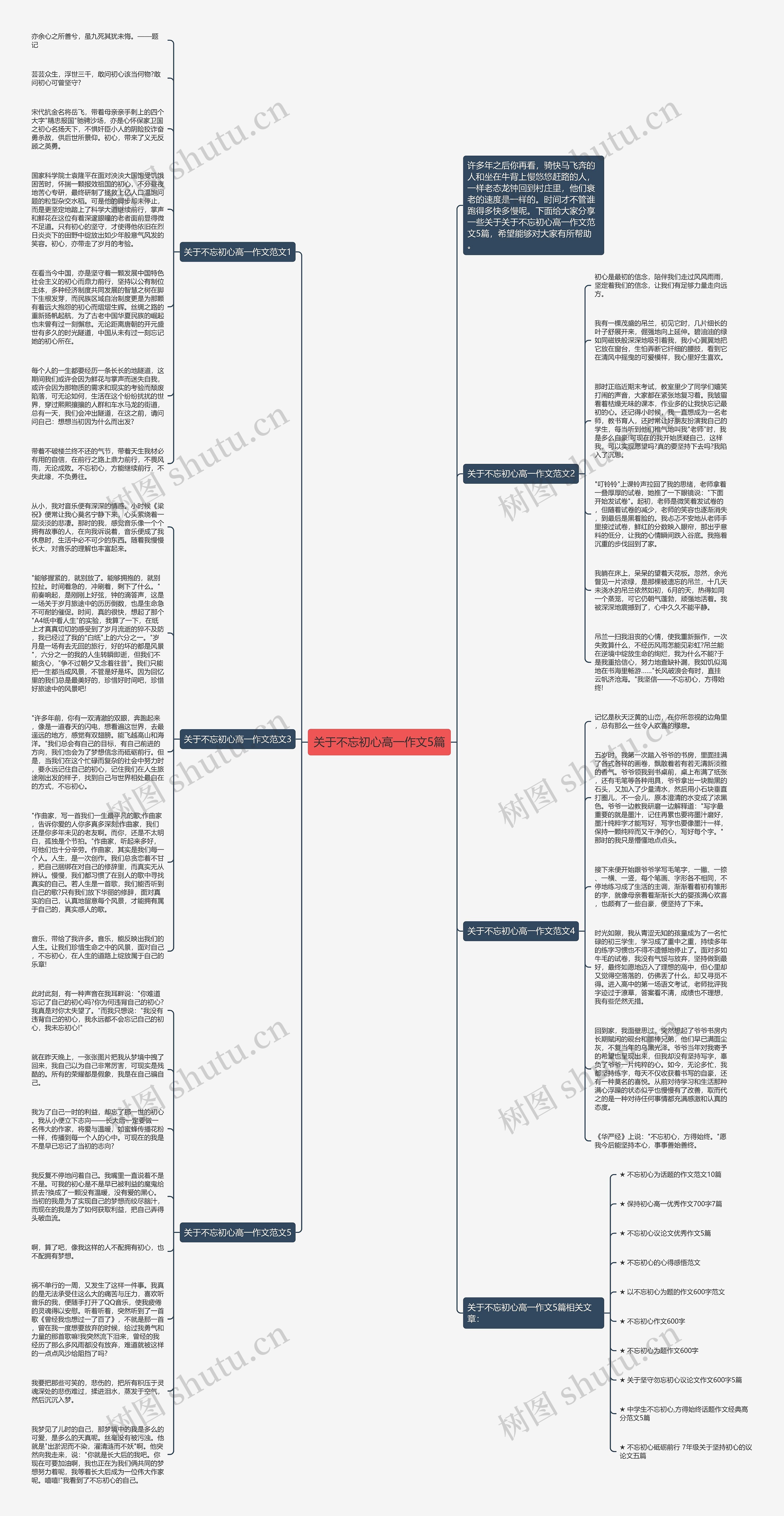 关于不忘初心高一作文5篇思维导图