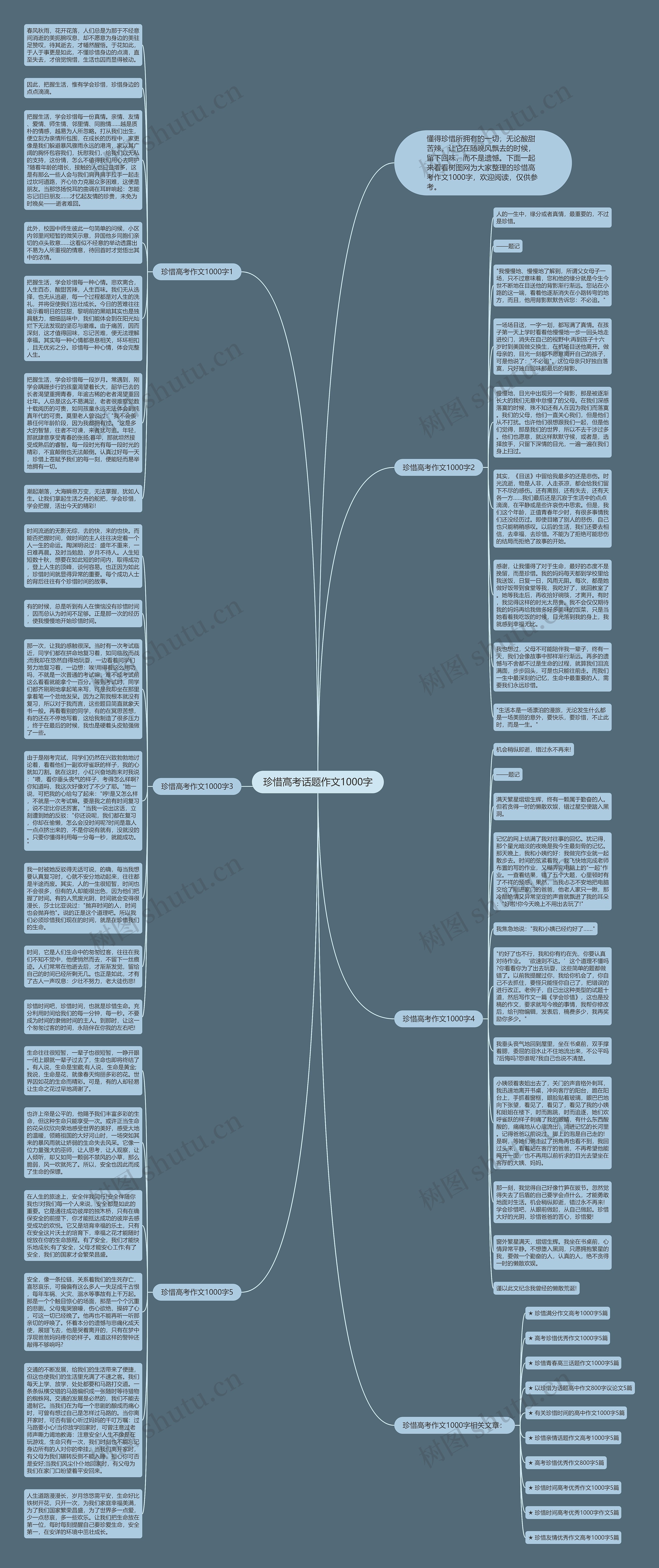 珍惜高考话题作文1000字思维导图
