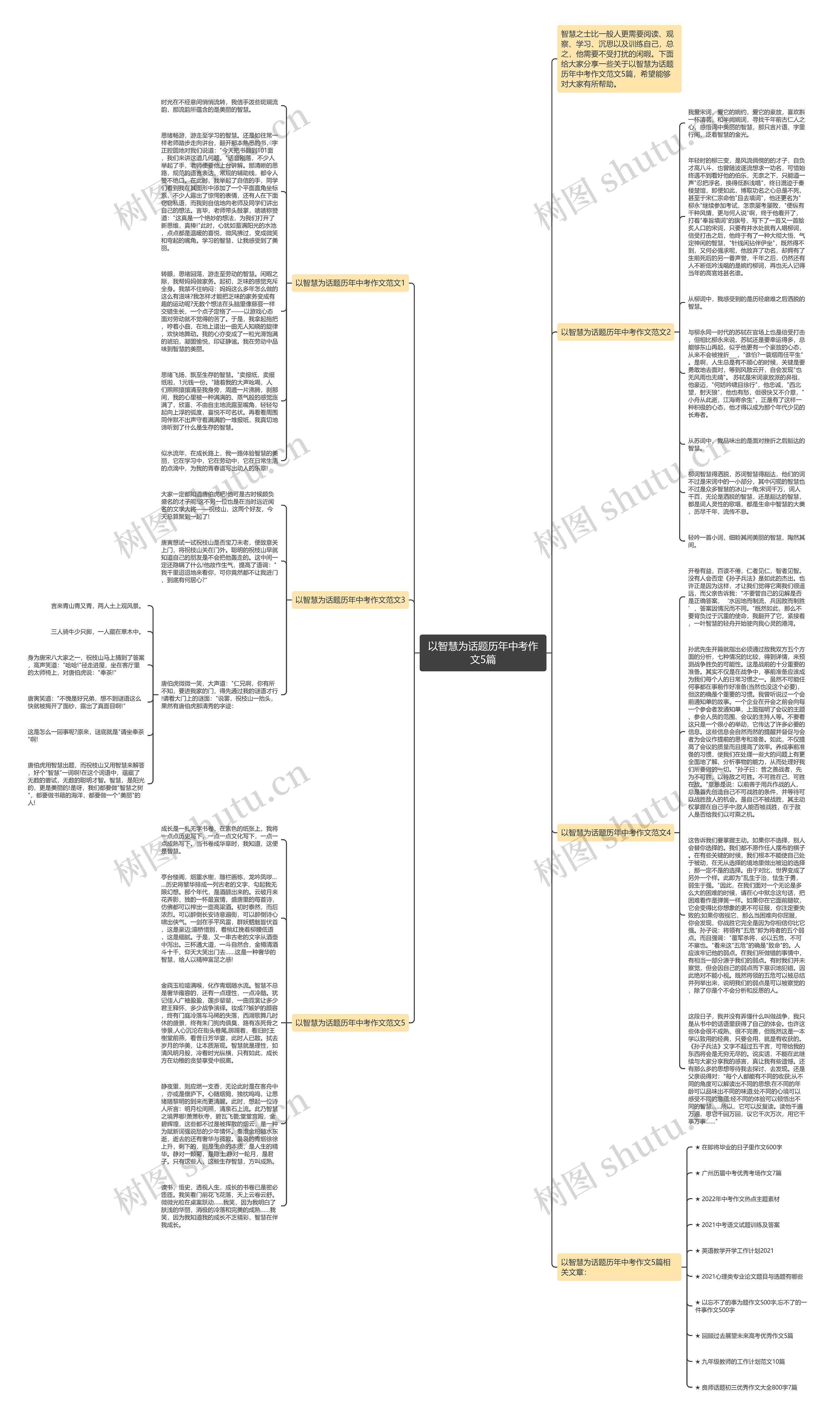 以智慧为话题历年中考作文5篇思维导图