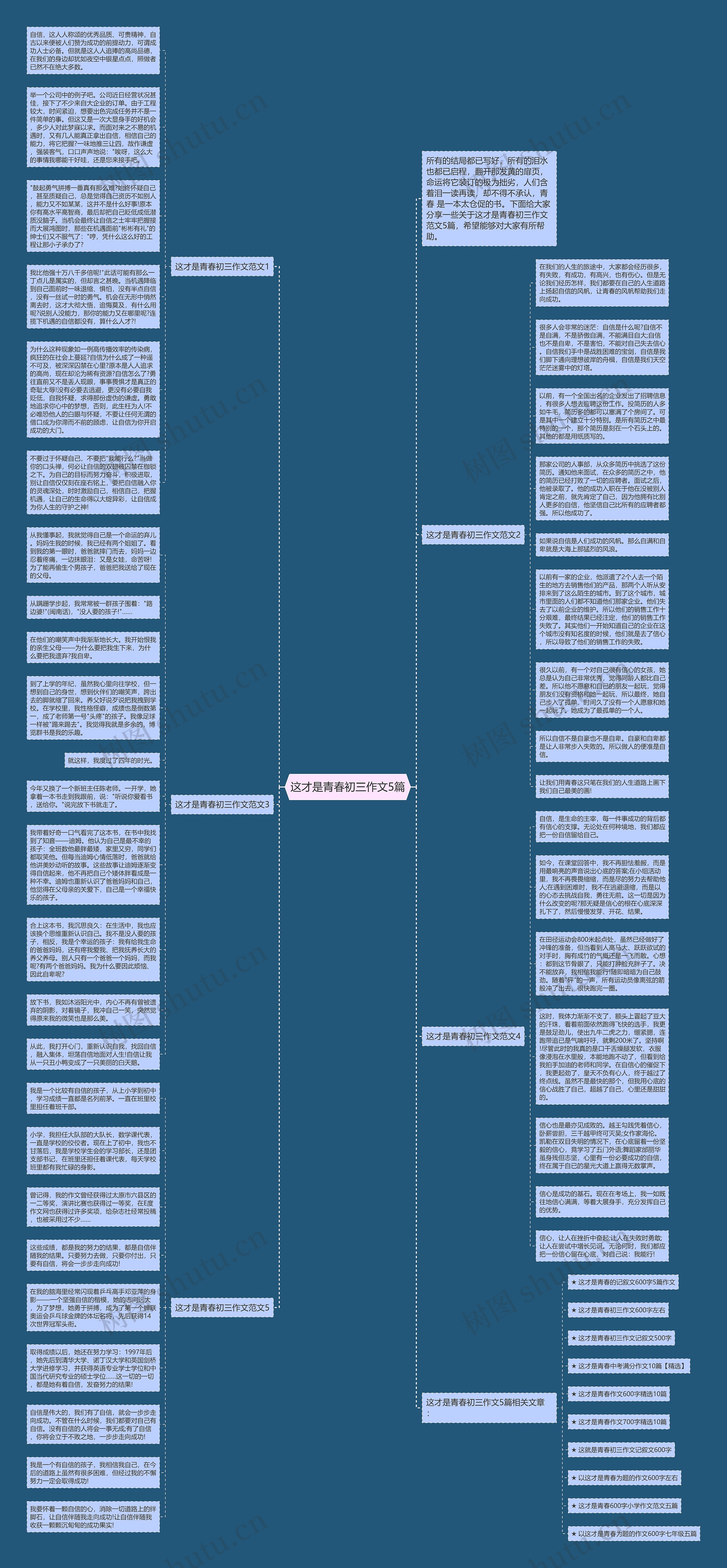 这才是青春初三作文5篇思维导图