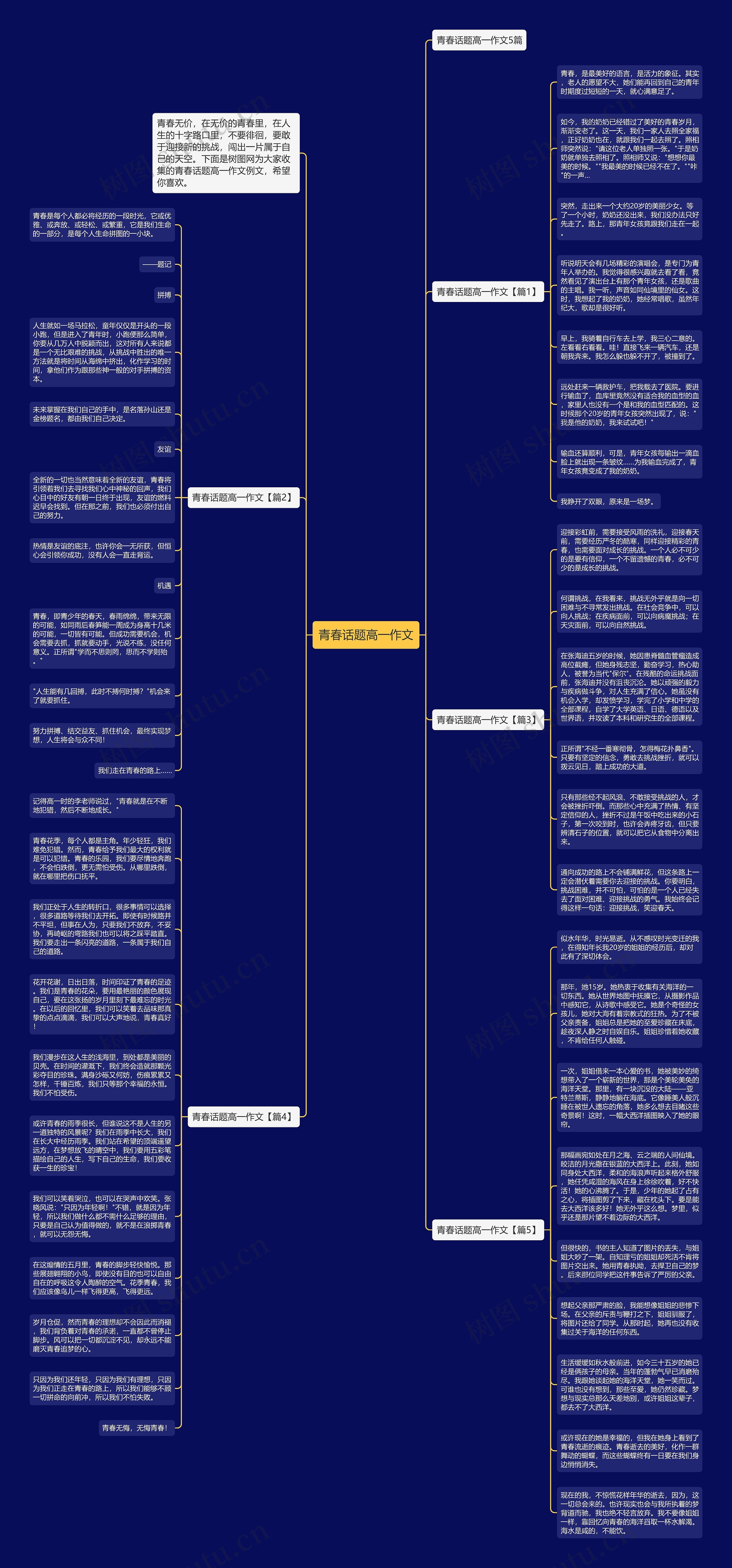 青春话题高一作文思维导图