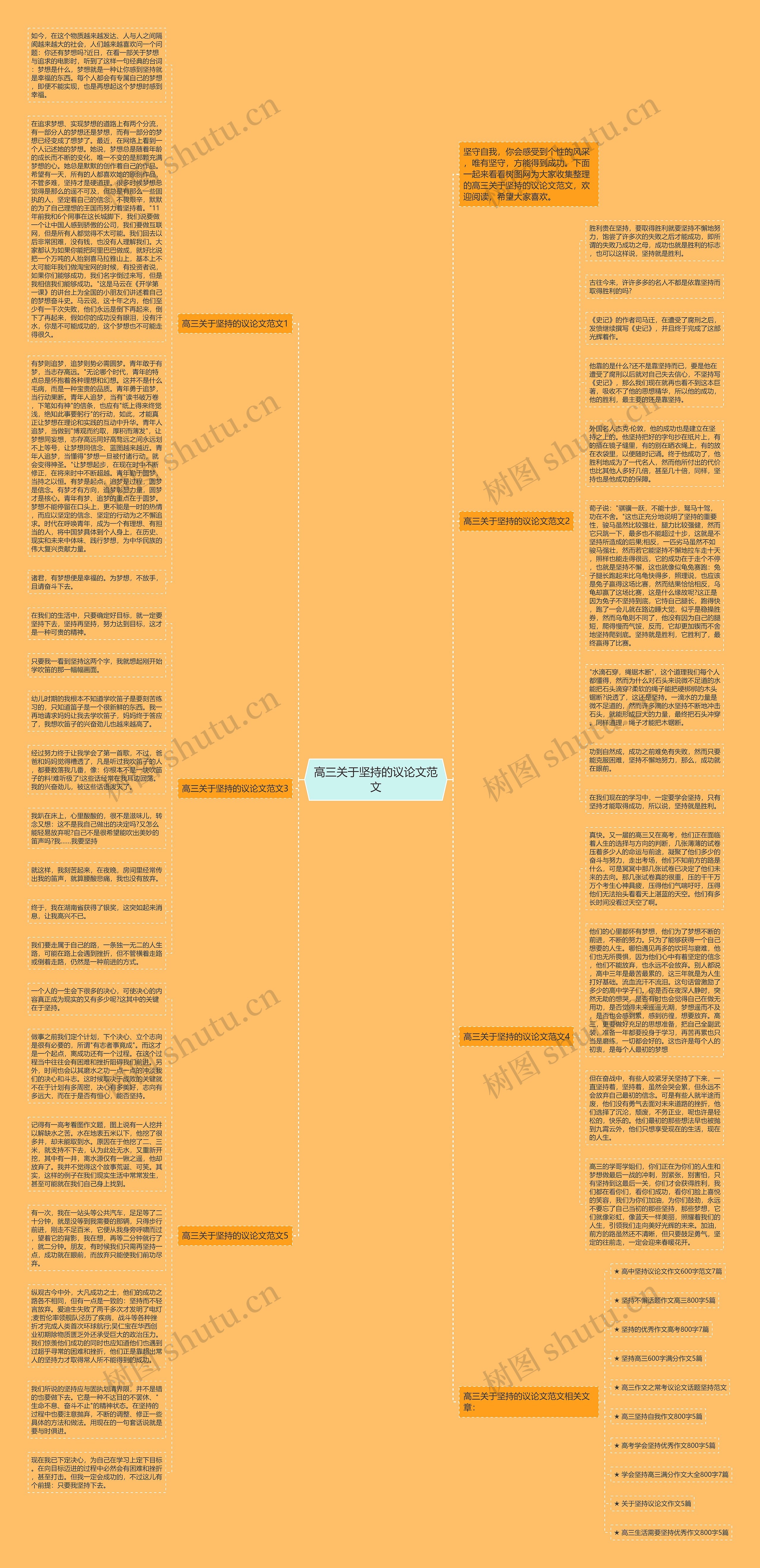 高三关于坚持的议论文范文思维导图