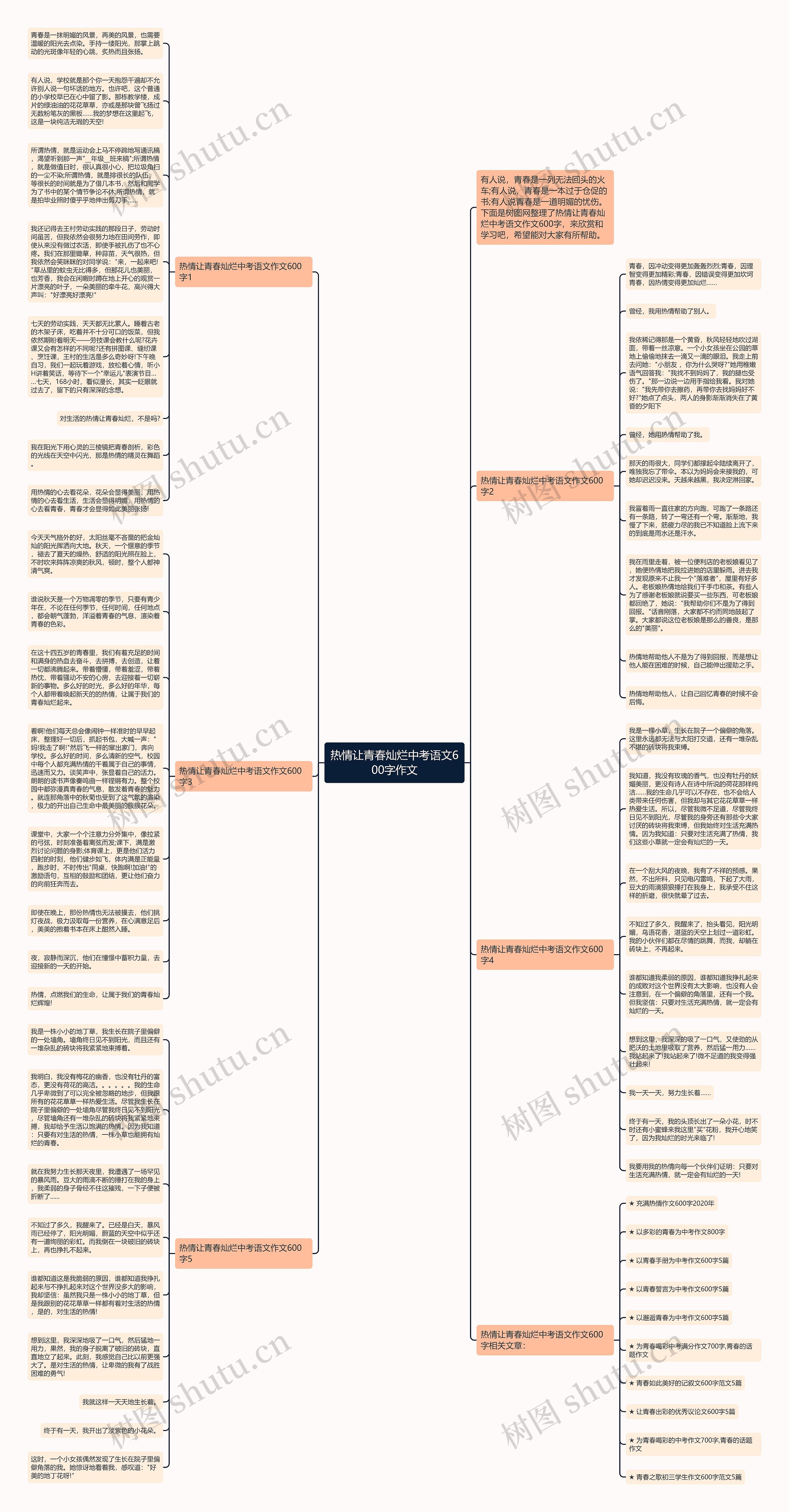 热情让青春灿烂中考语文600字作文思维导图