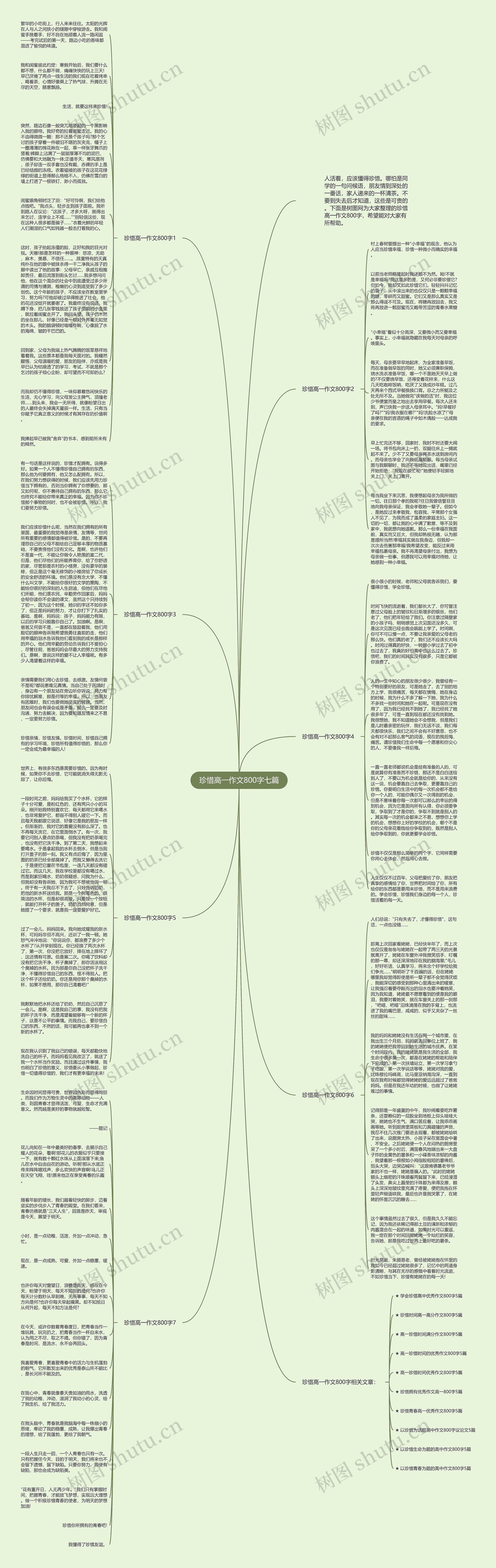 珍惜高一作文800字七篇思维导图