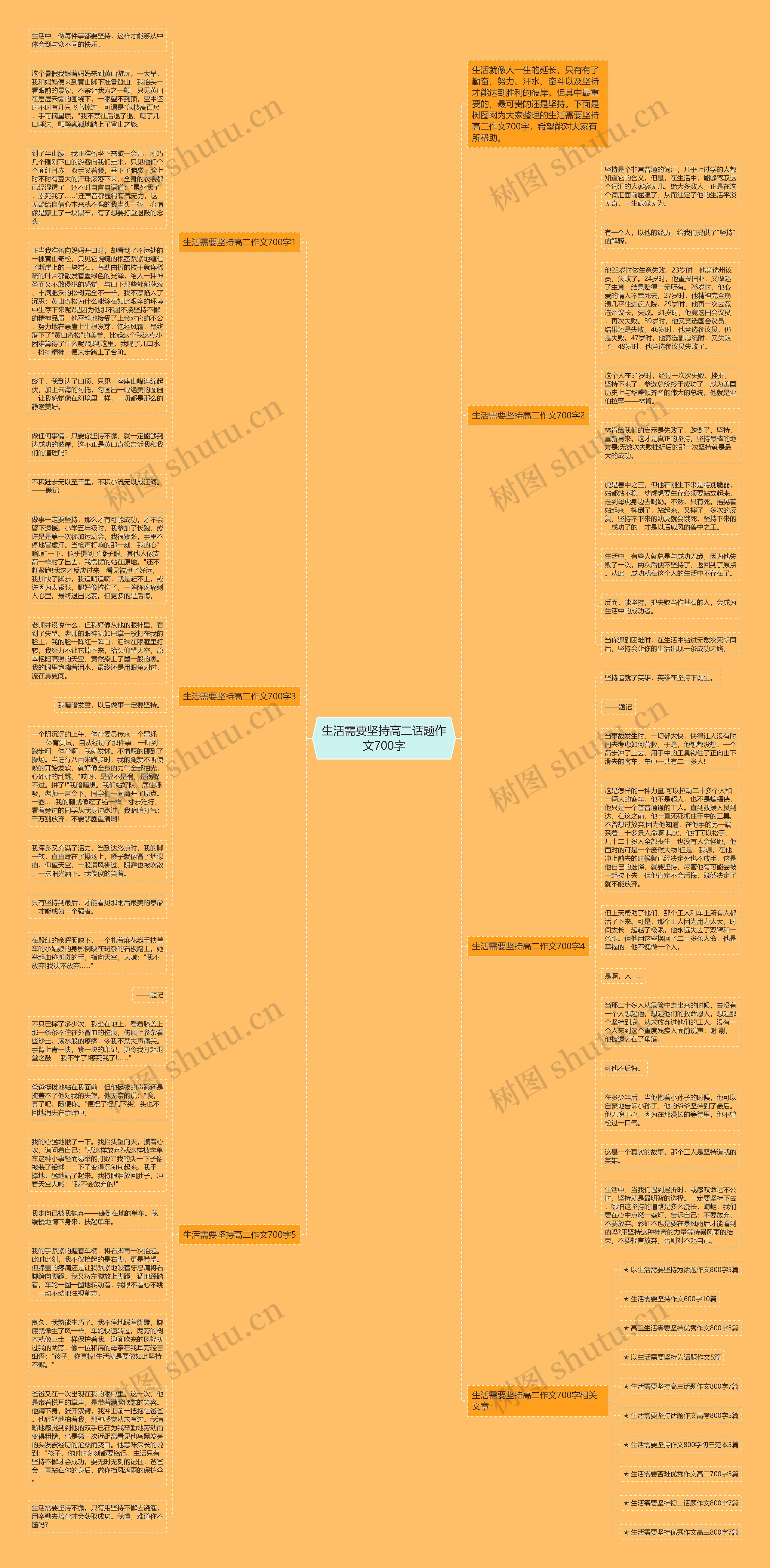 生活需要坚持高二话题作文700字思维导图