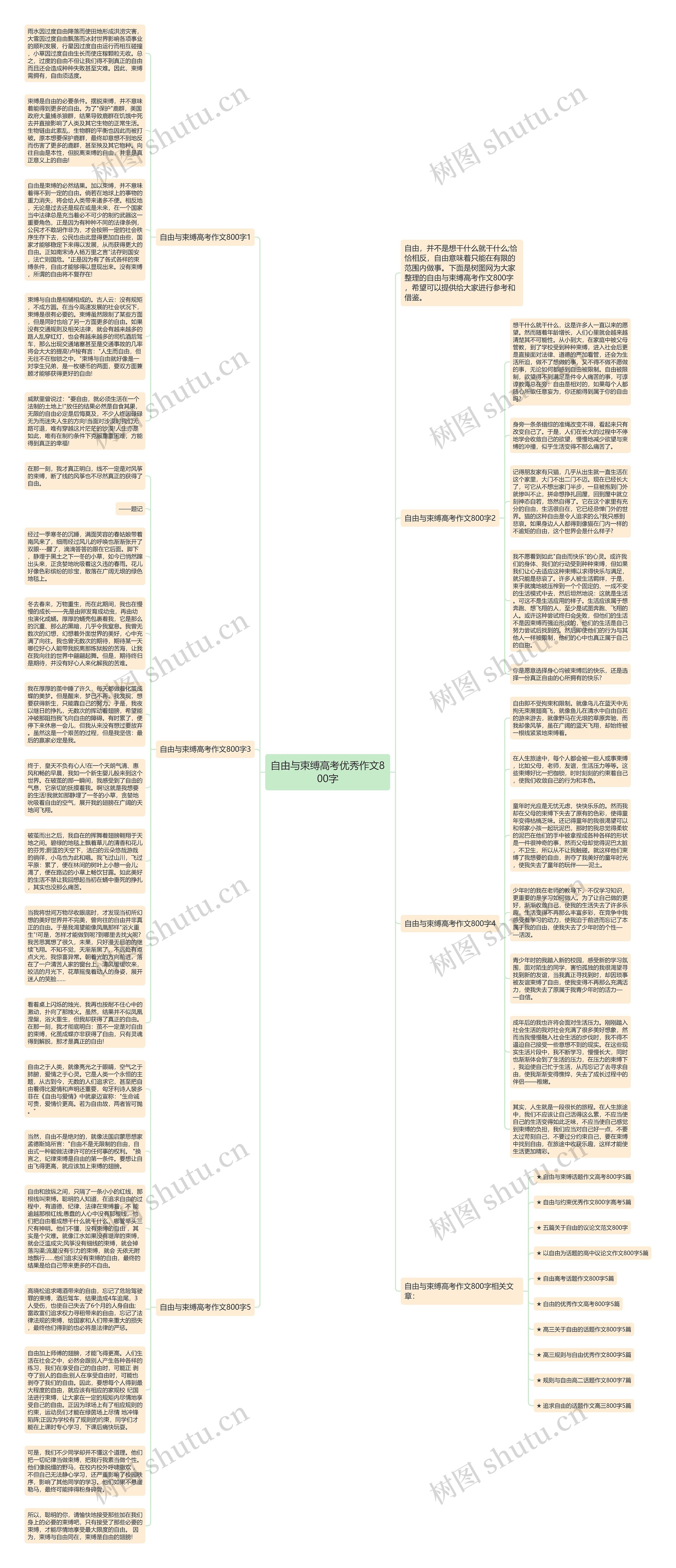 自由与束缚高考优秀作文800字思维导图