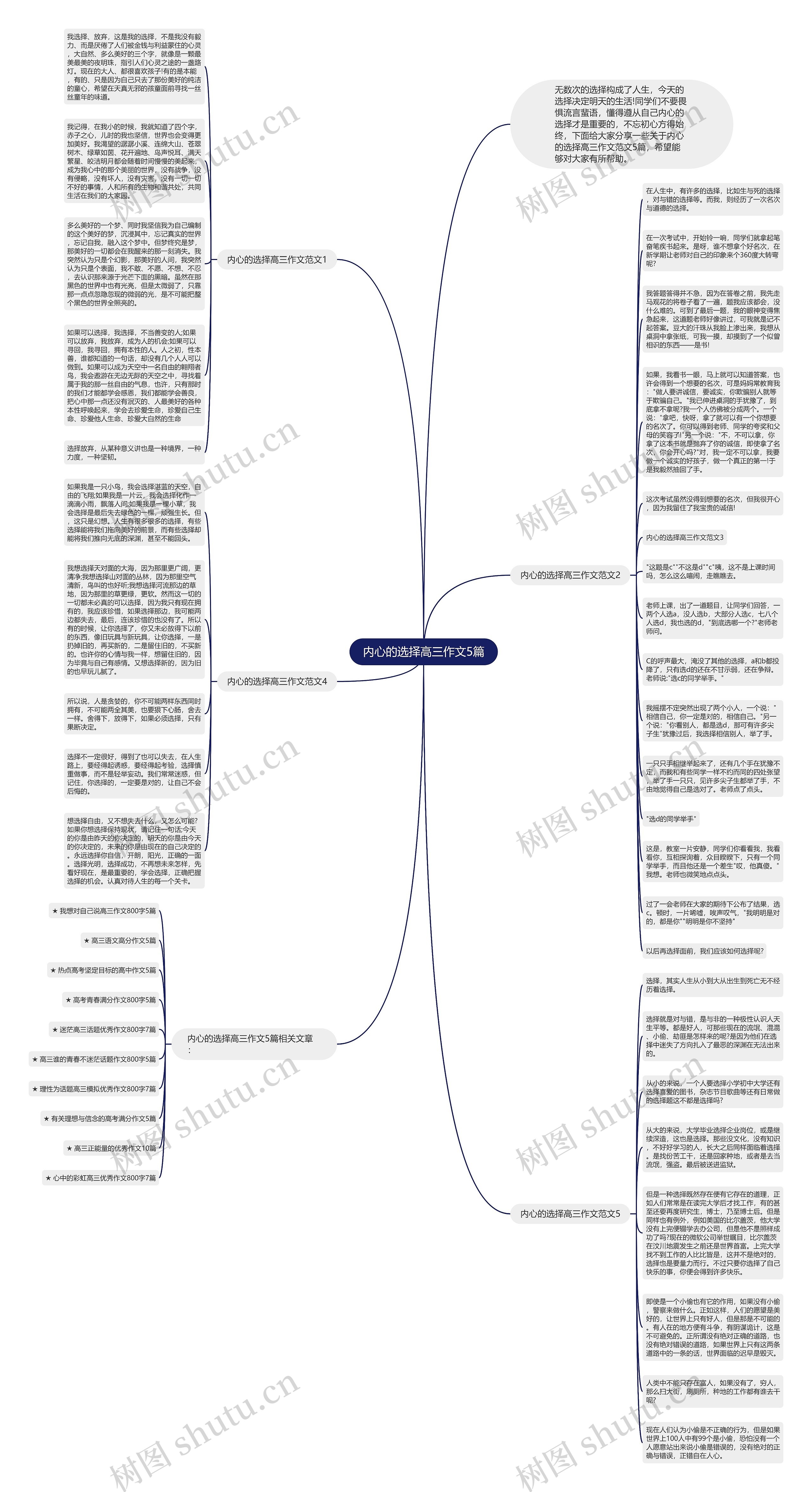 内心的选择高三作文5篇思维导图