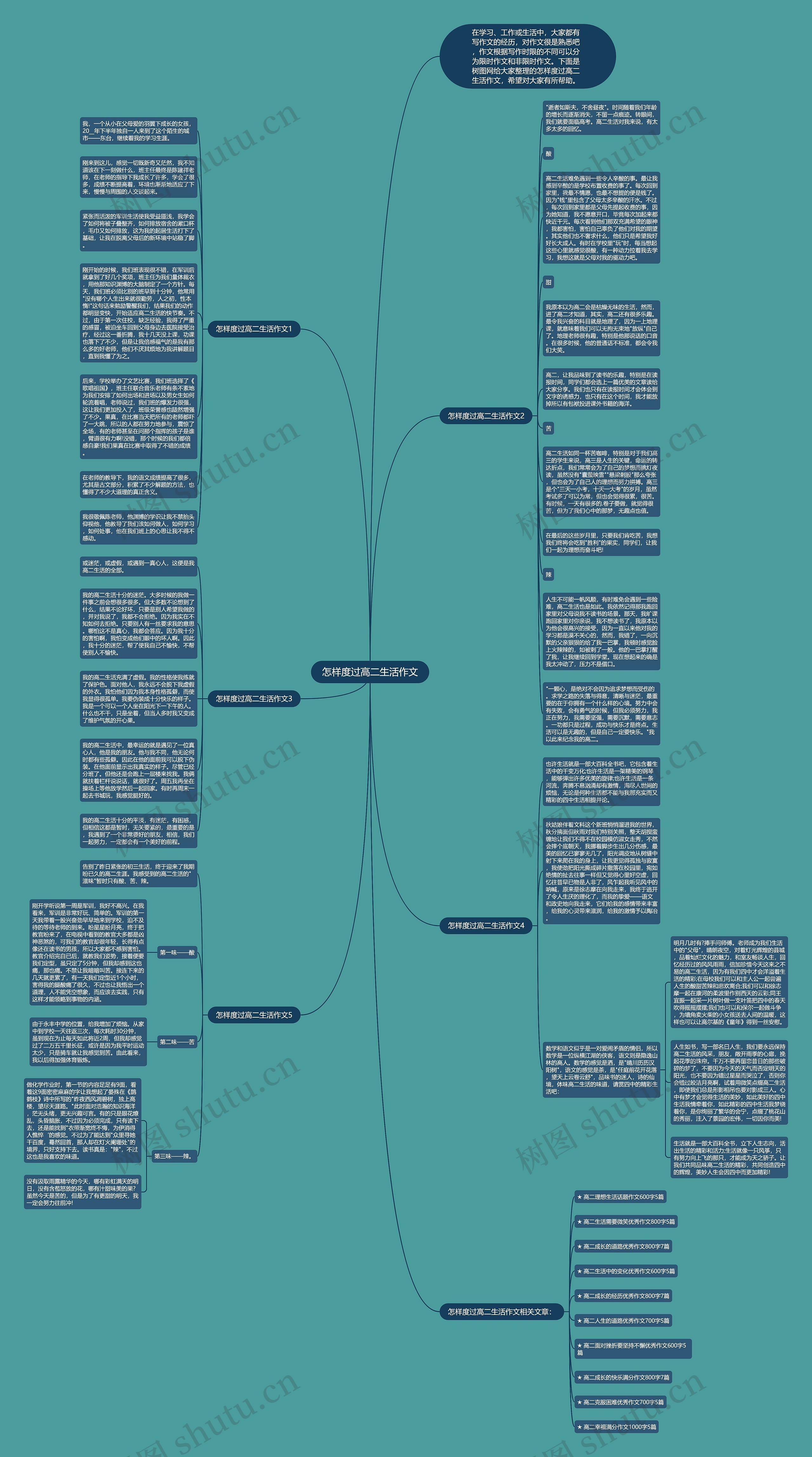 怎样度过高二生活作文思维导图