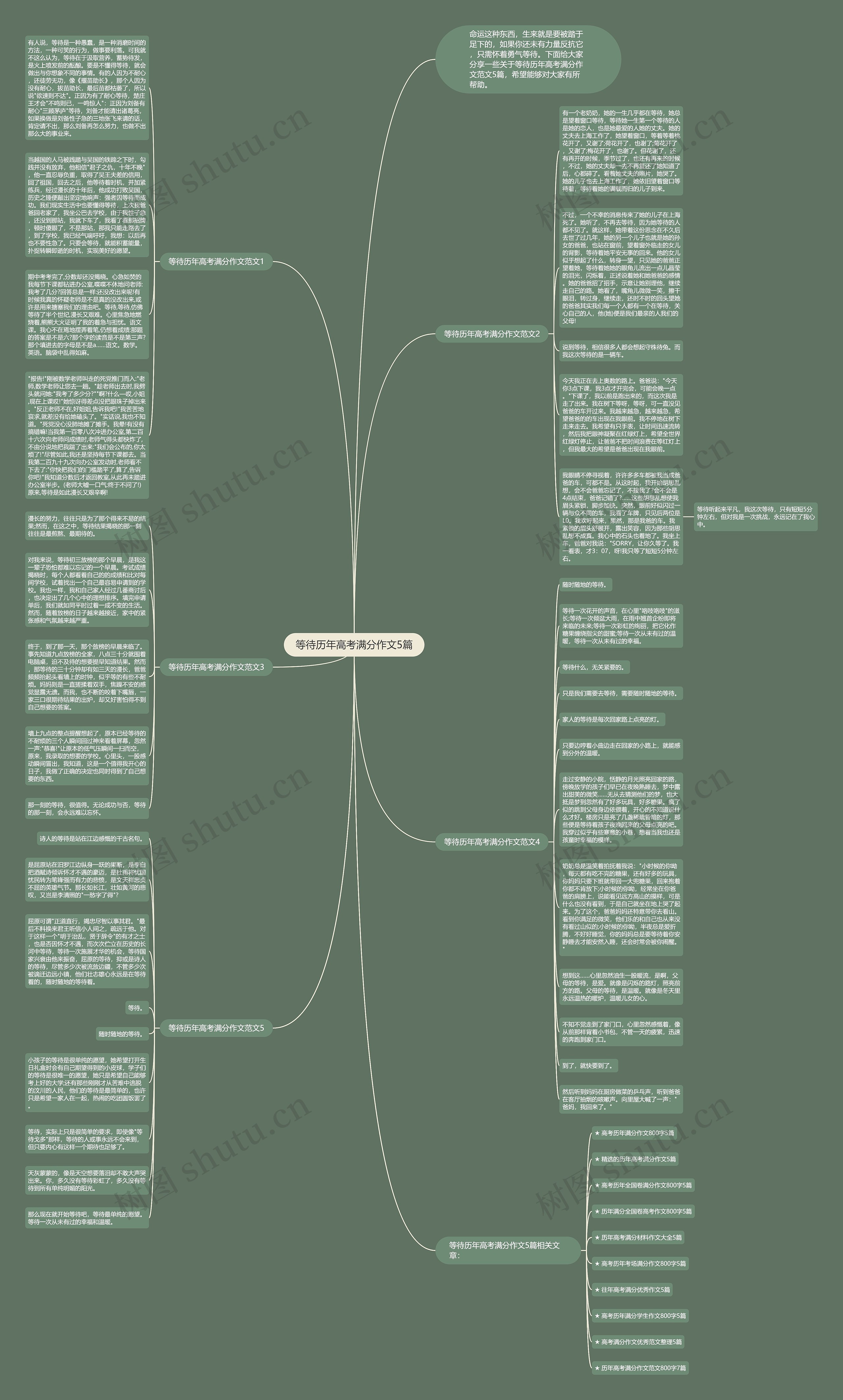等待历年高考满分作文5篇思维导图