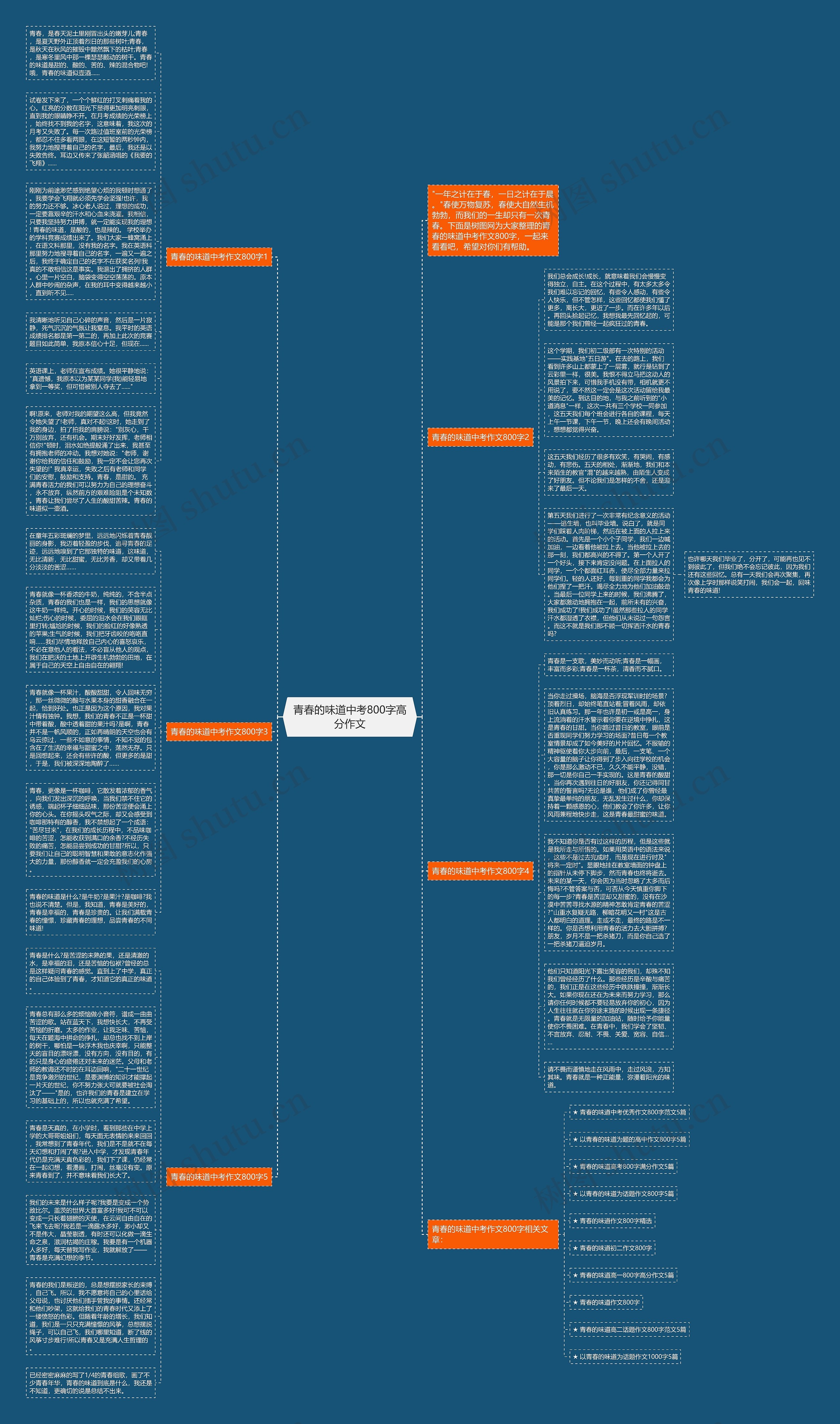 青春的味道中考800字高分作文思维导图