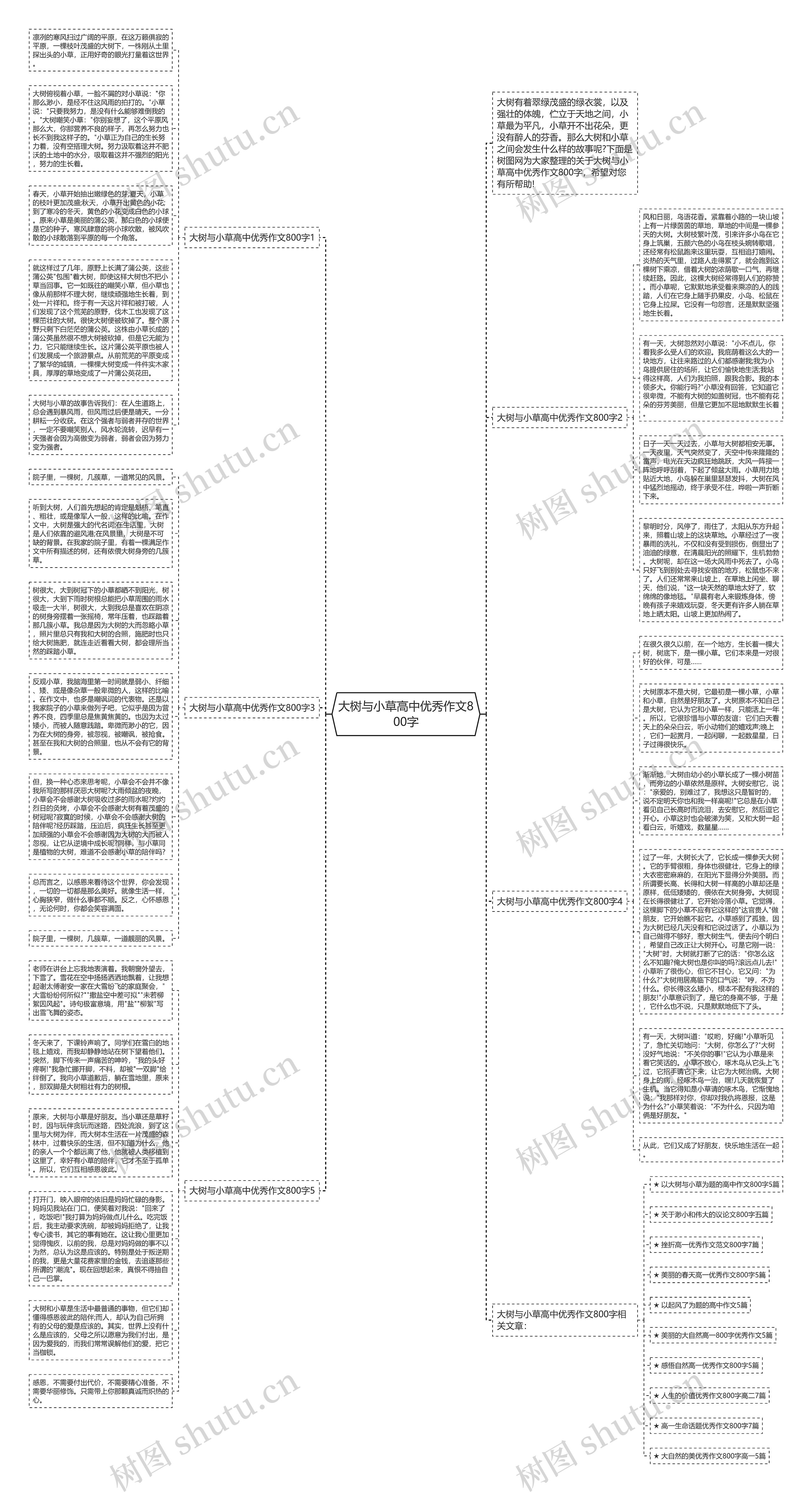 大树与小草高中优秀作文800字思维导图