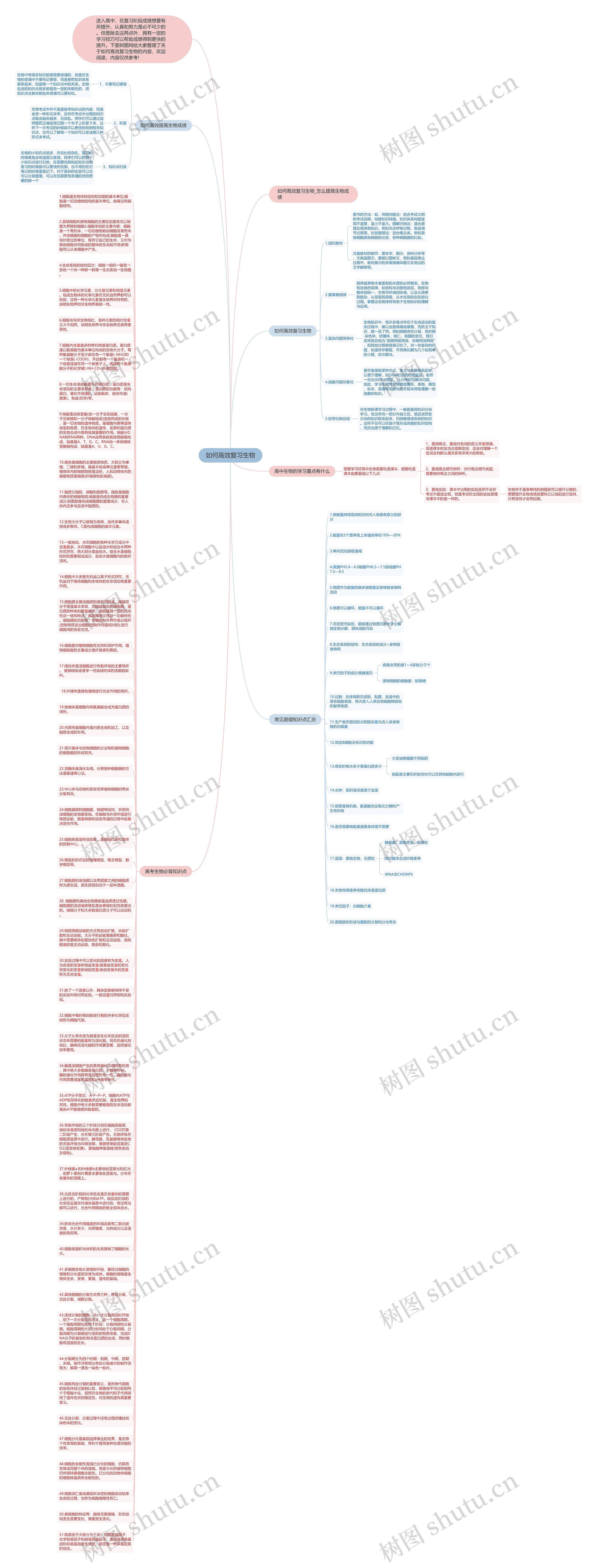 如何高效复习生物思维导图