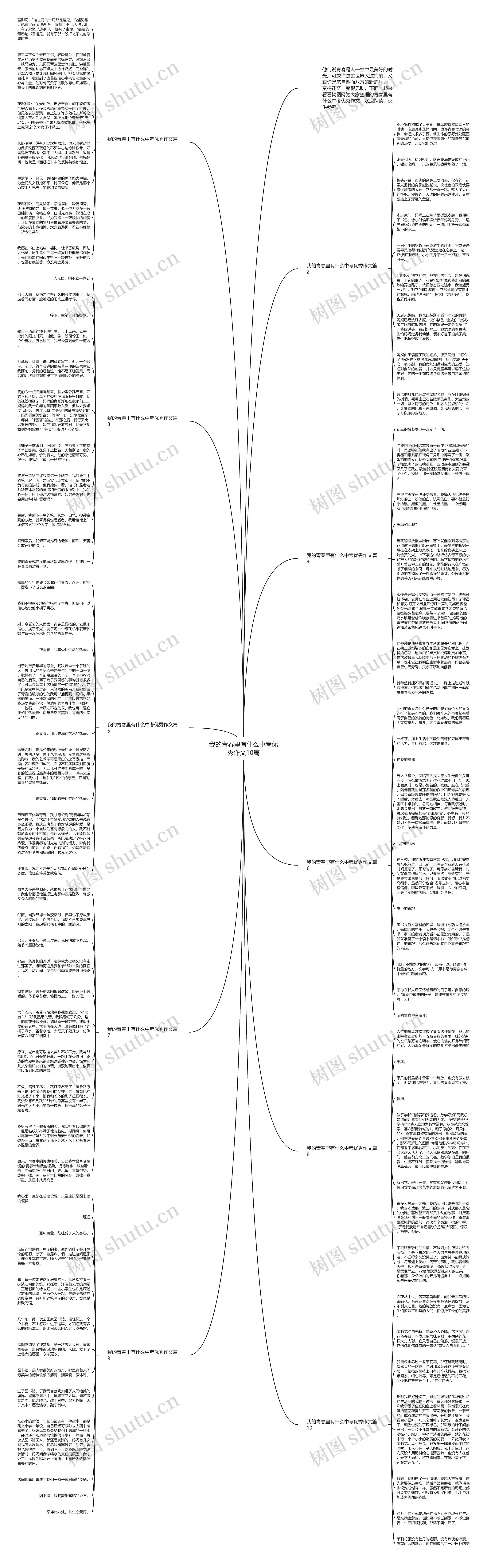 我的青春里有什么中考优秀作文10篇思维导图