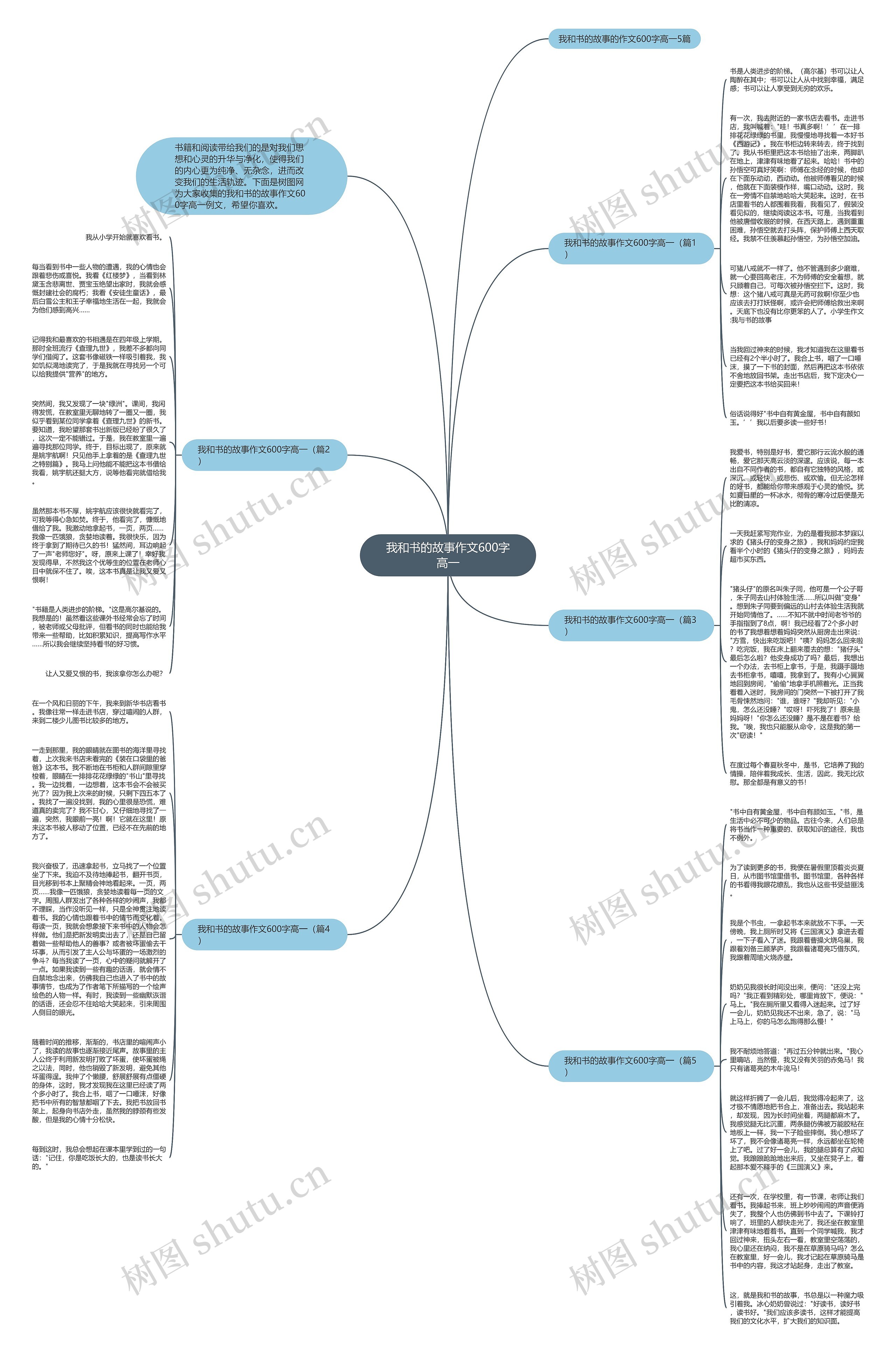 我和书的故事作文600字高一思维导图