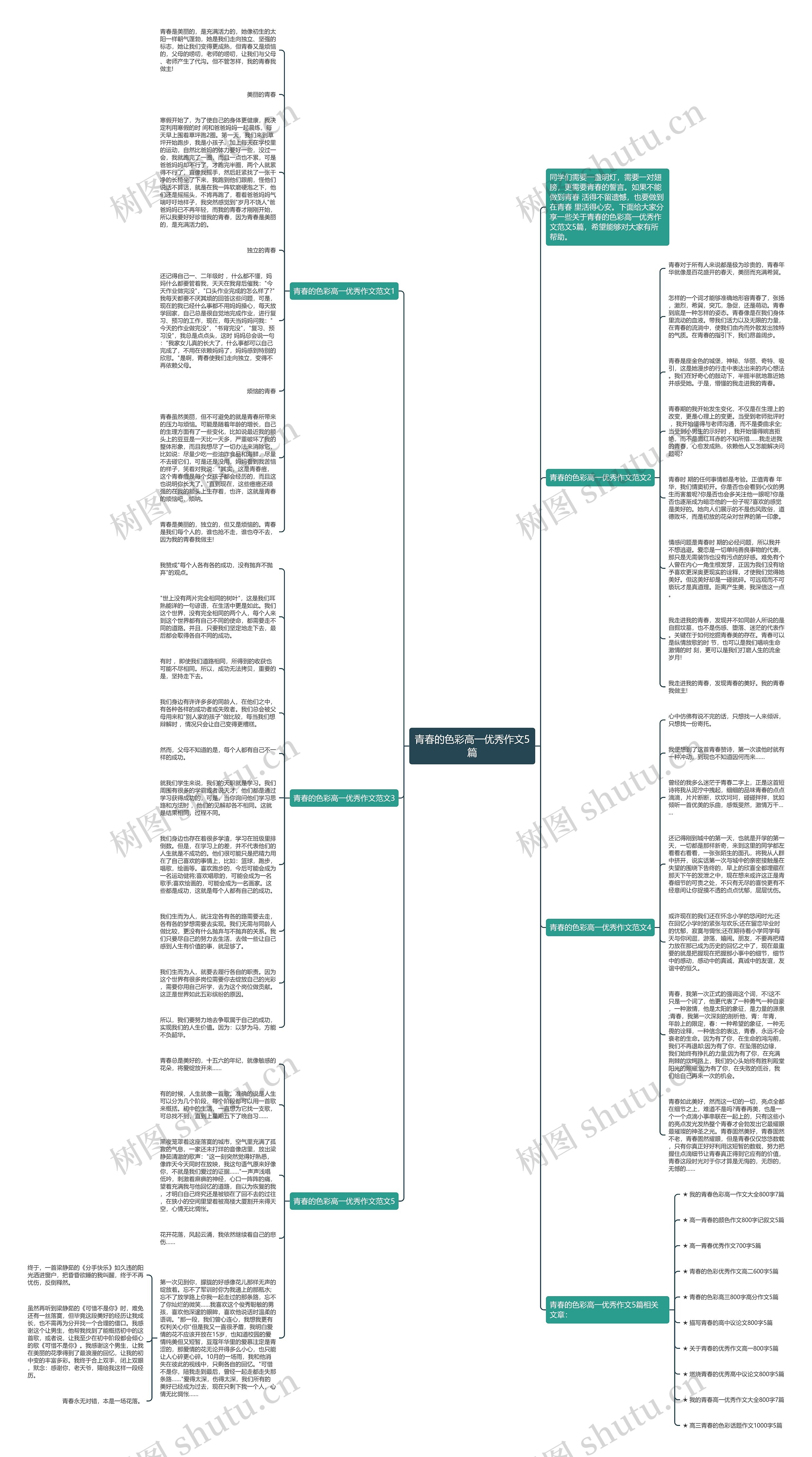 青春的色彩高一优秀作文5篇思维导图