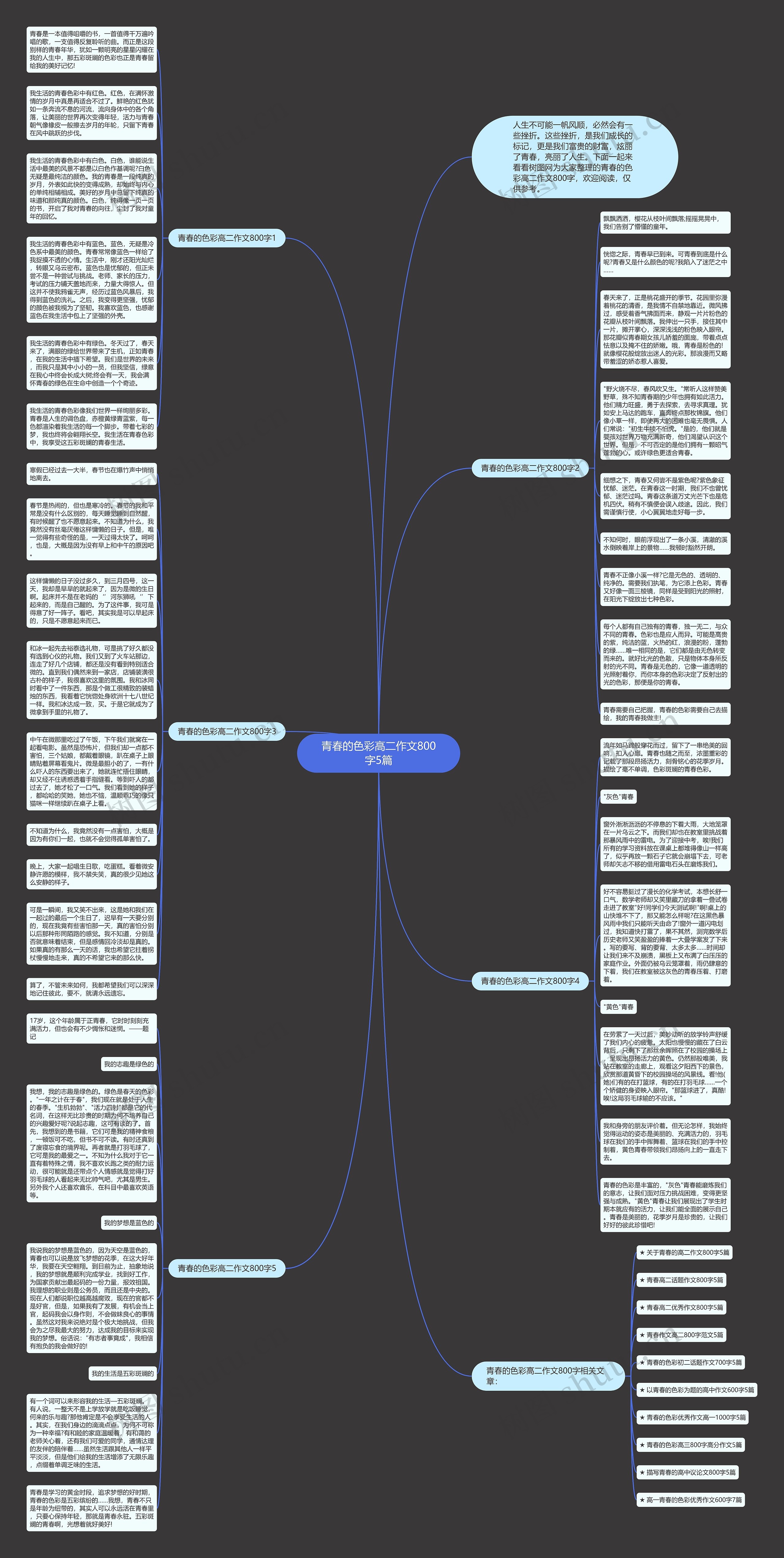 青春的色彩高二作文800字5篇思维导图