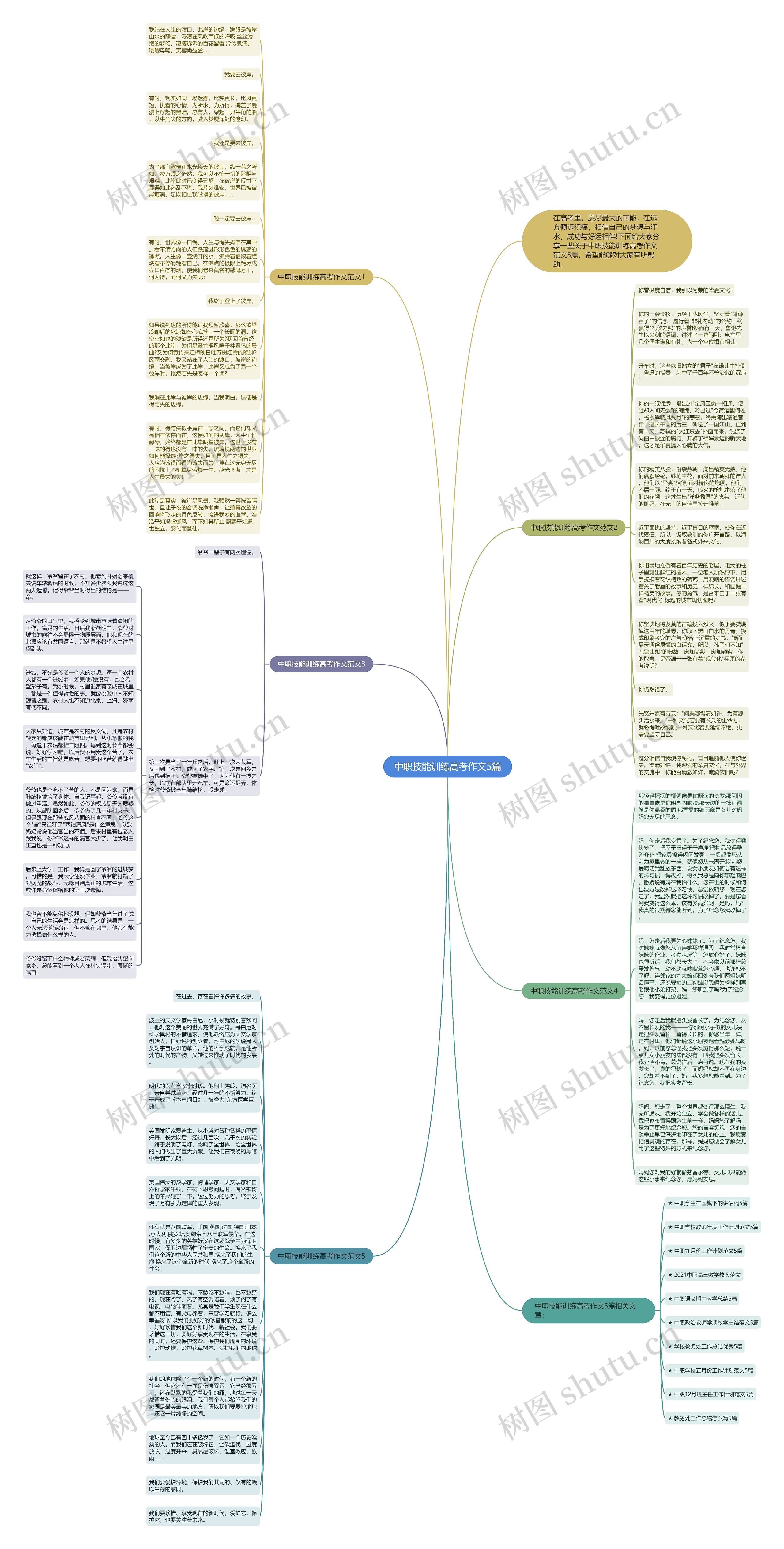 中职技能训练高考作文5篇思维导图