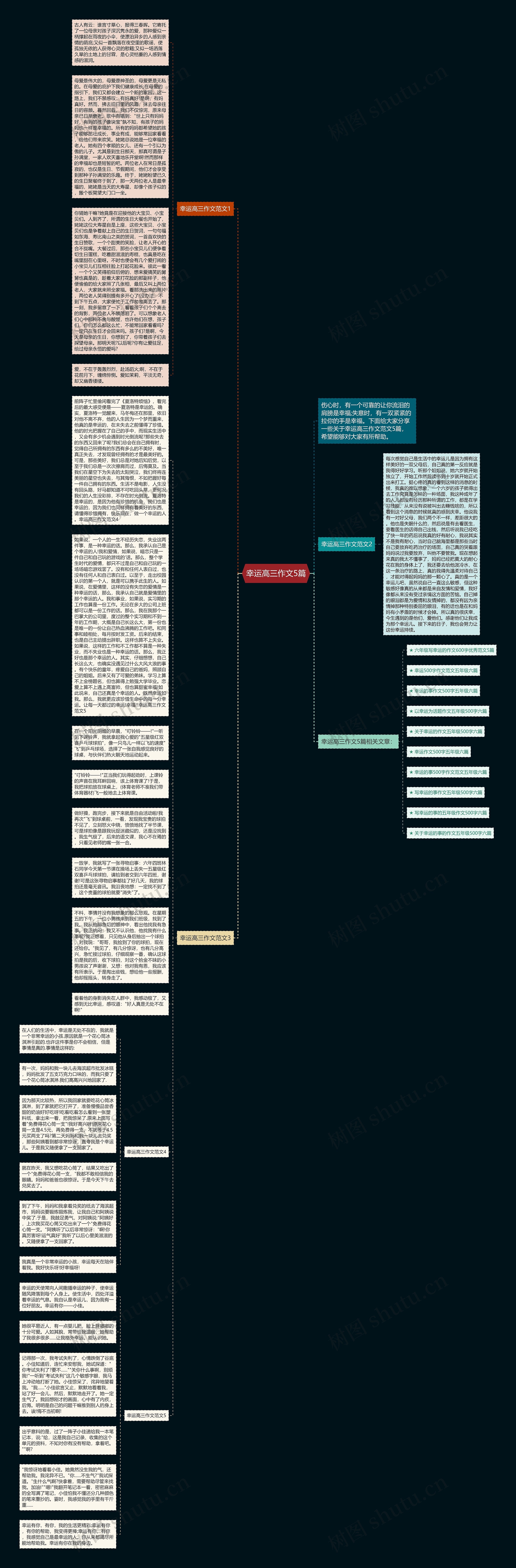 幸运高三作文5篇思维导图