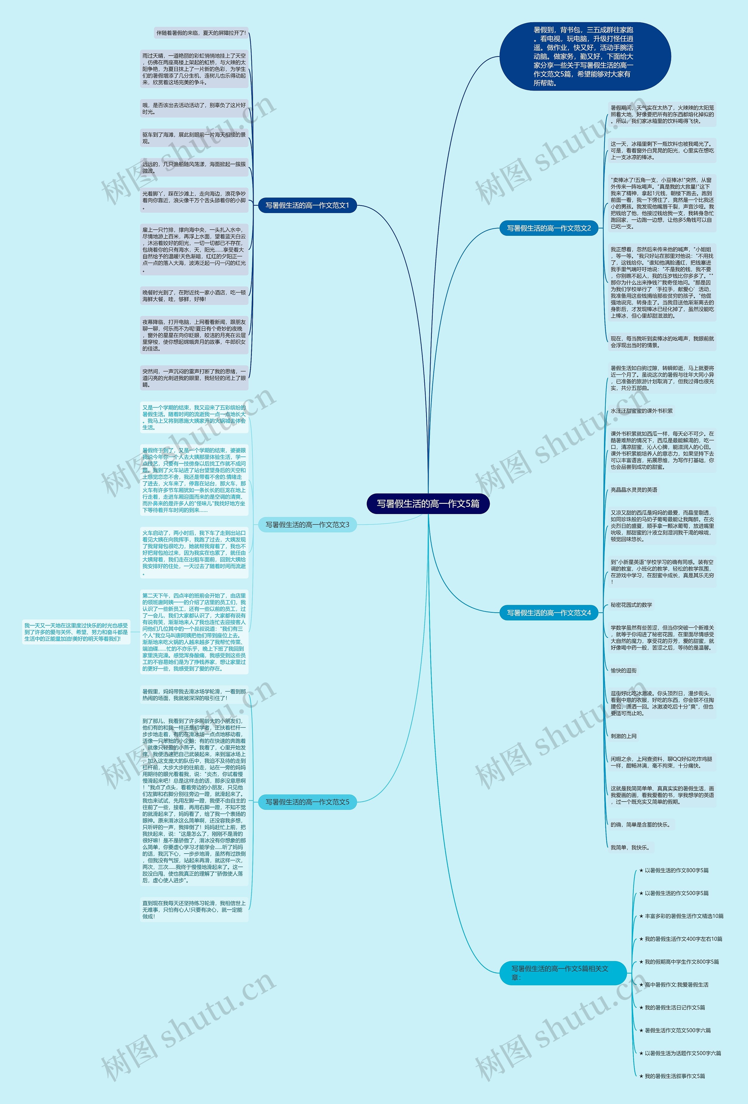 写暑假生活的高一作文5篇思维导图