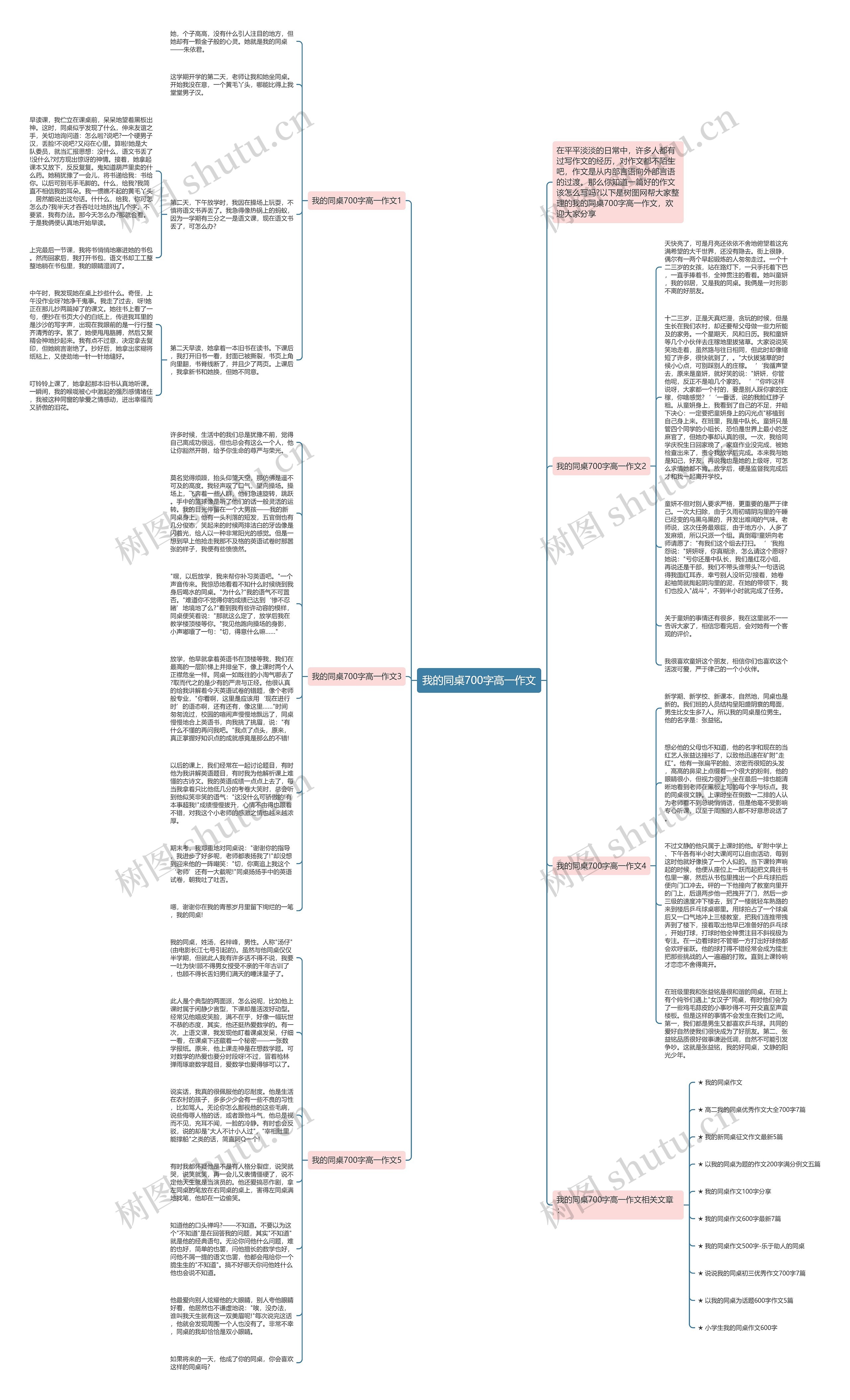 我的同桌700字高一作文思维导图