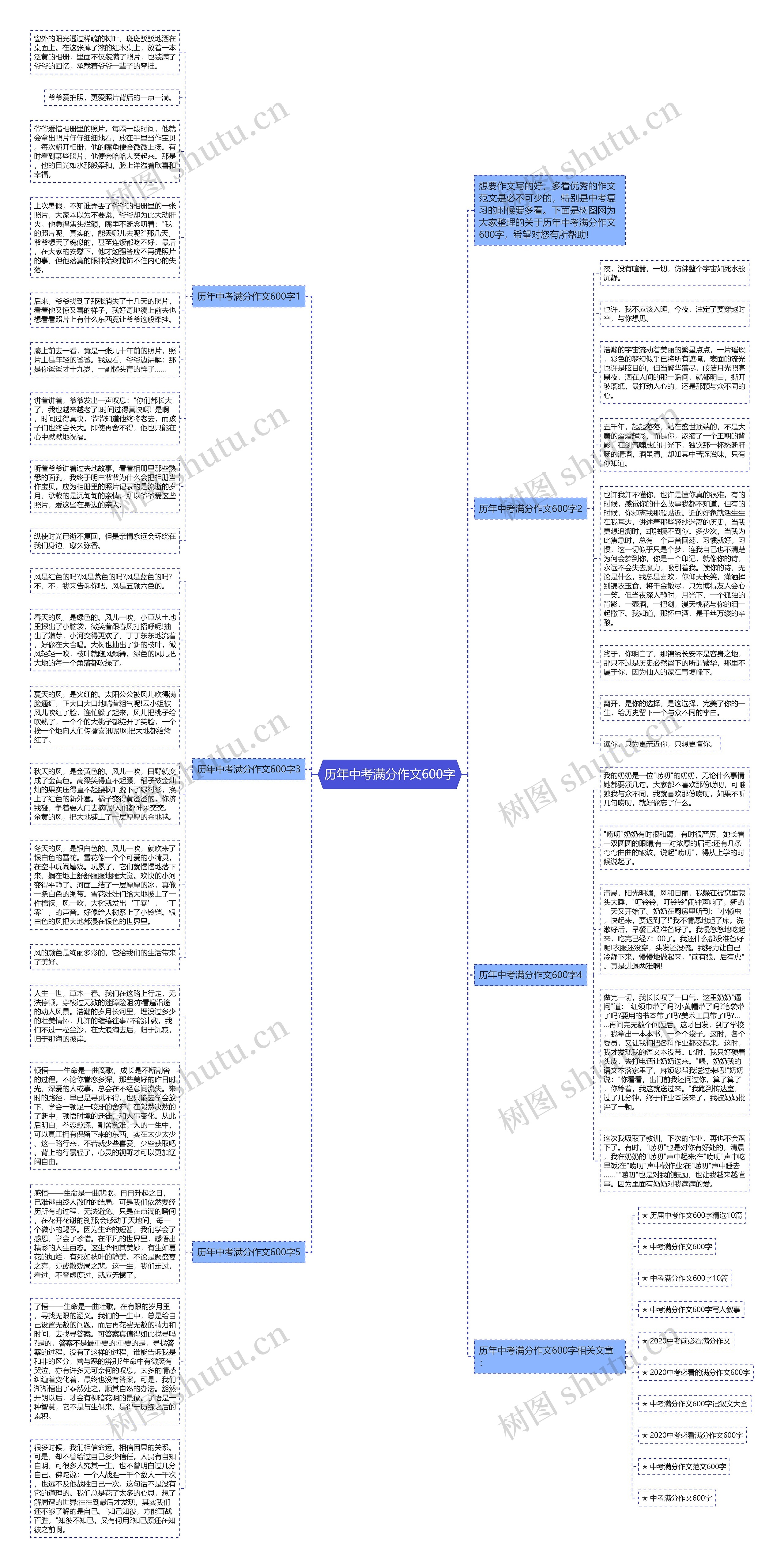 历年中考满分作文600字思维导图