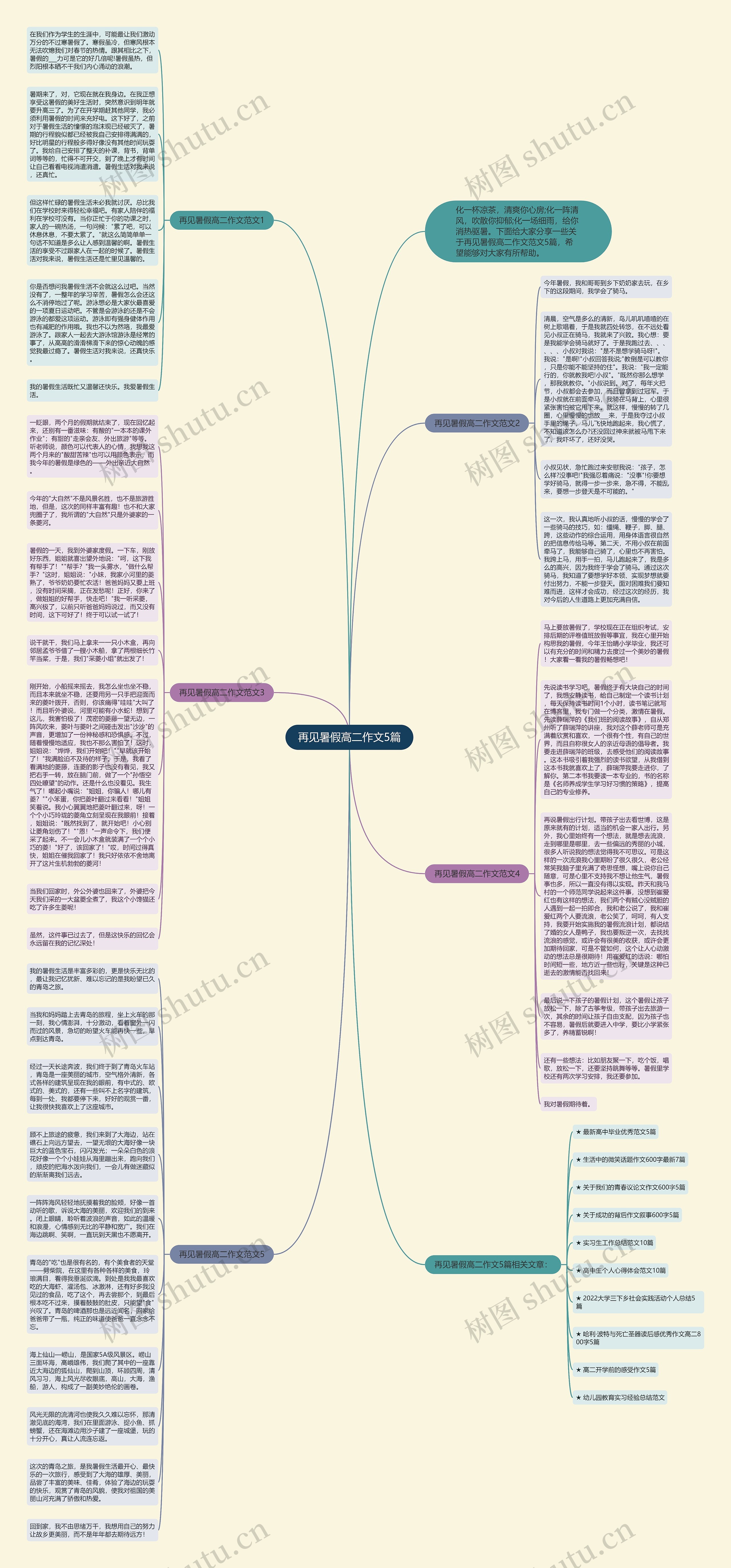 再见暑假高二作文5篇思维导图