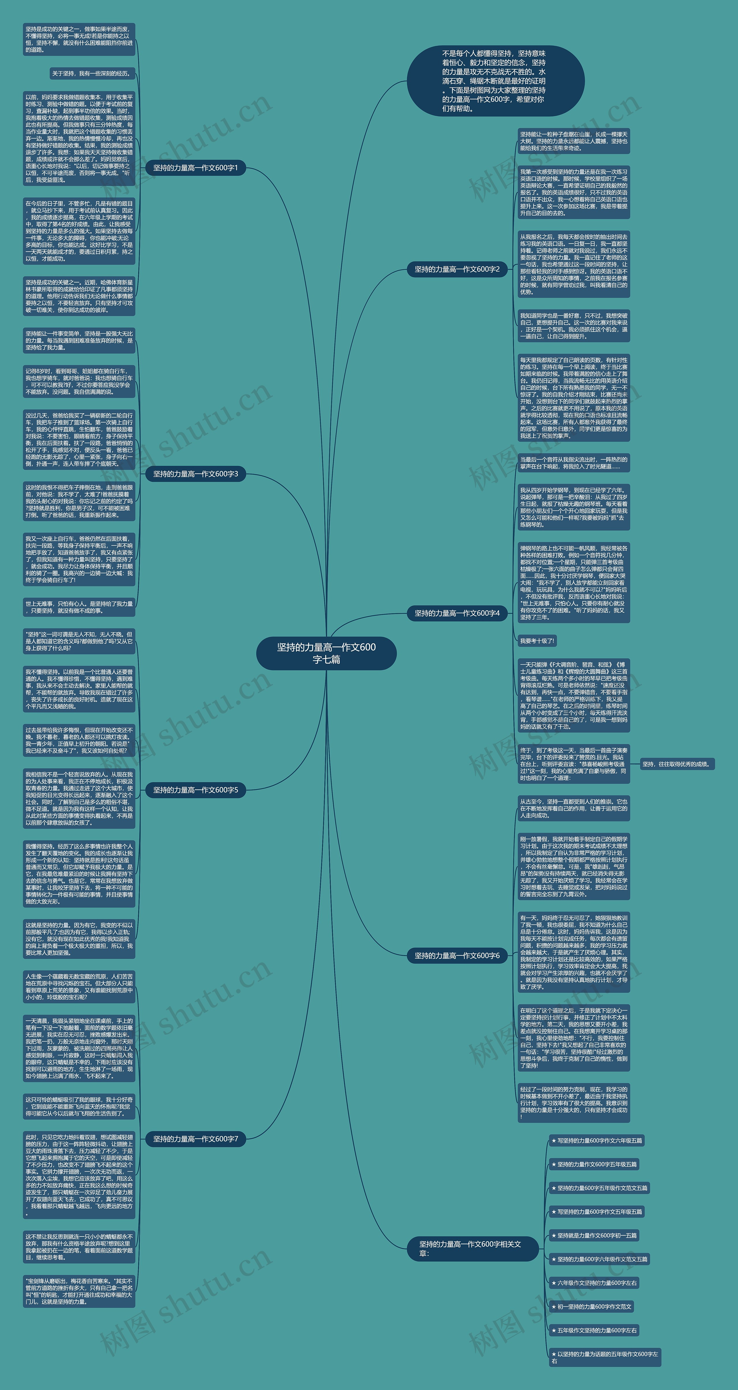 坚持的力量高一作文600字七篇