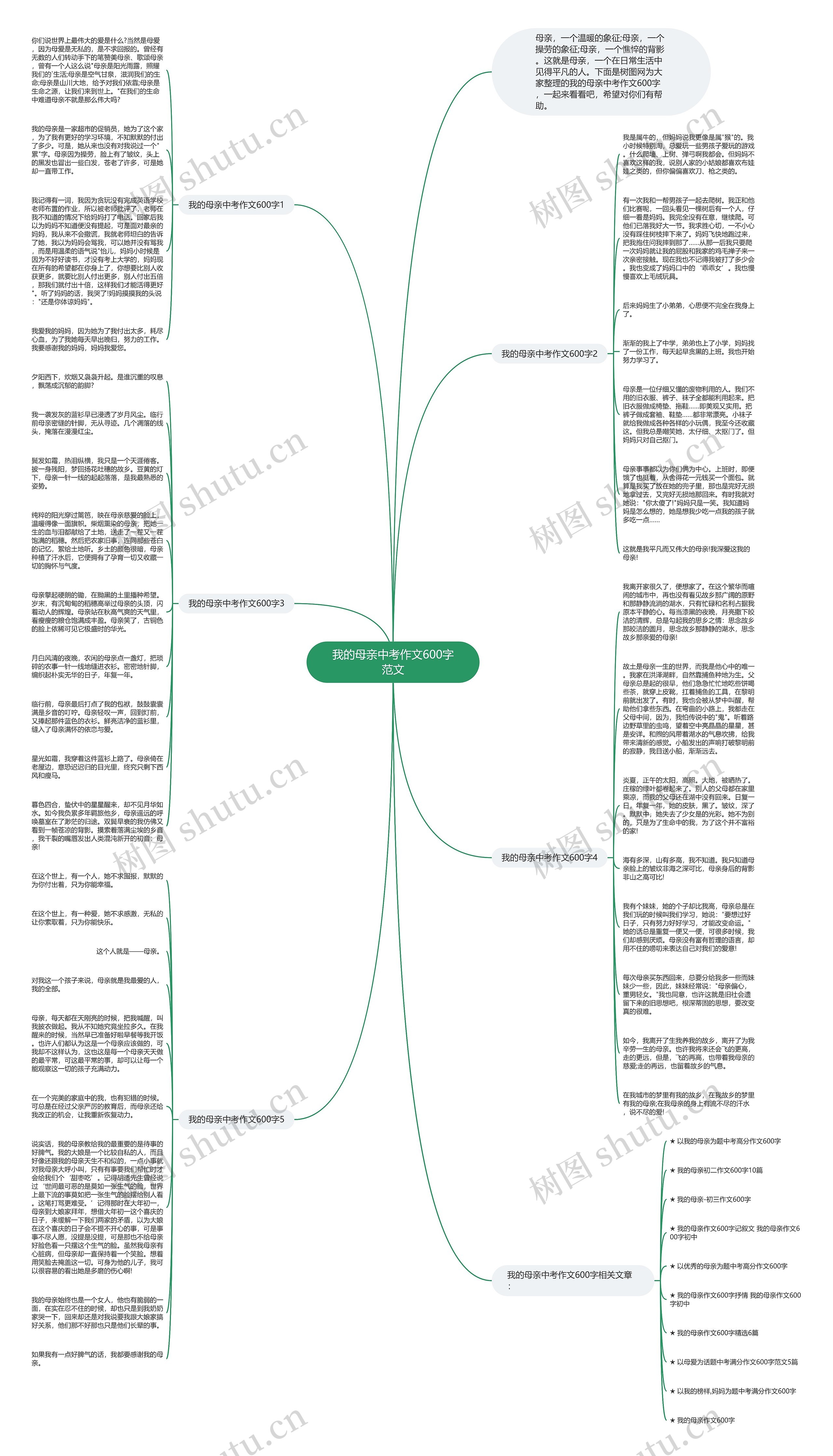 我的母亲中考作文600字范文思维导图