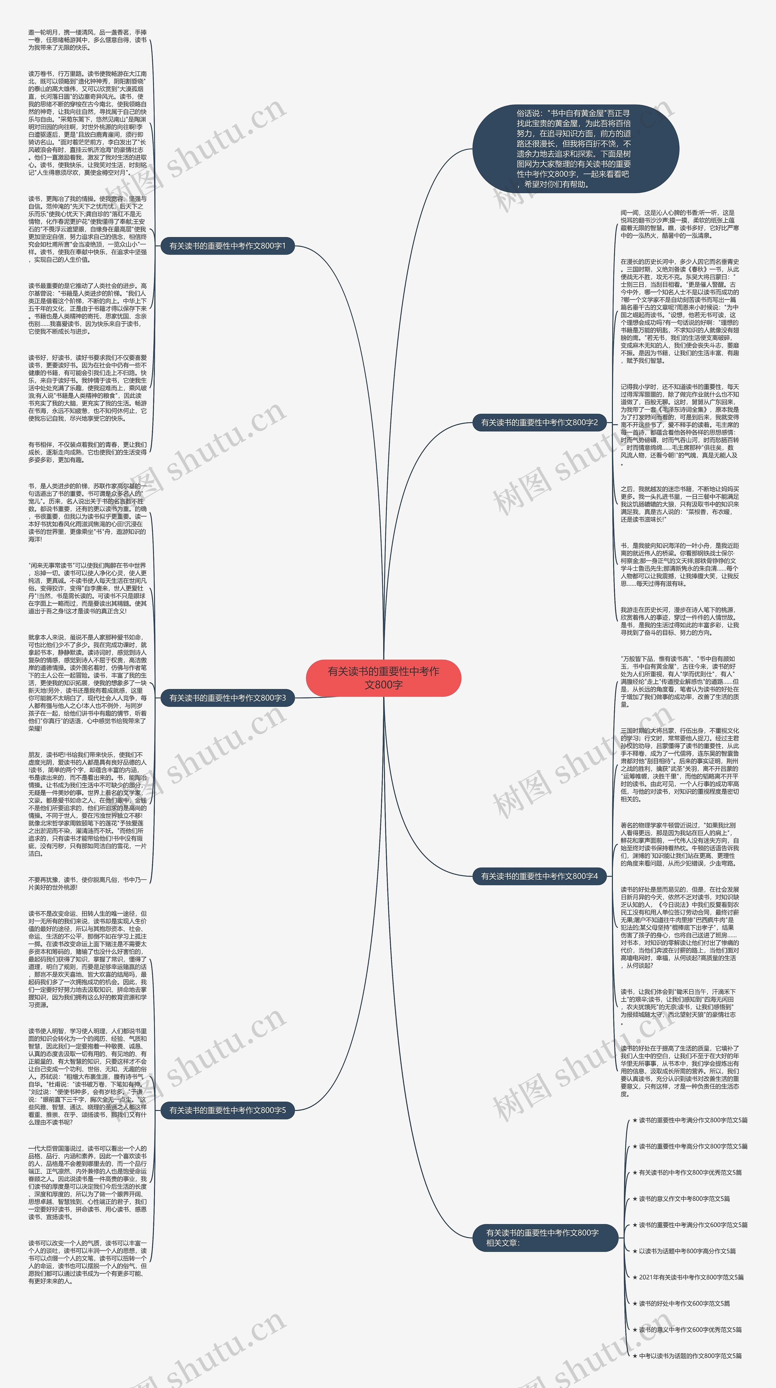 有关读书的重要性中考作文800字思维导图