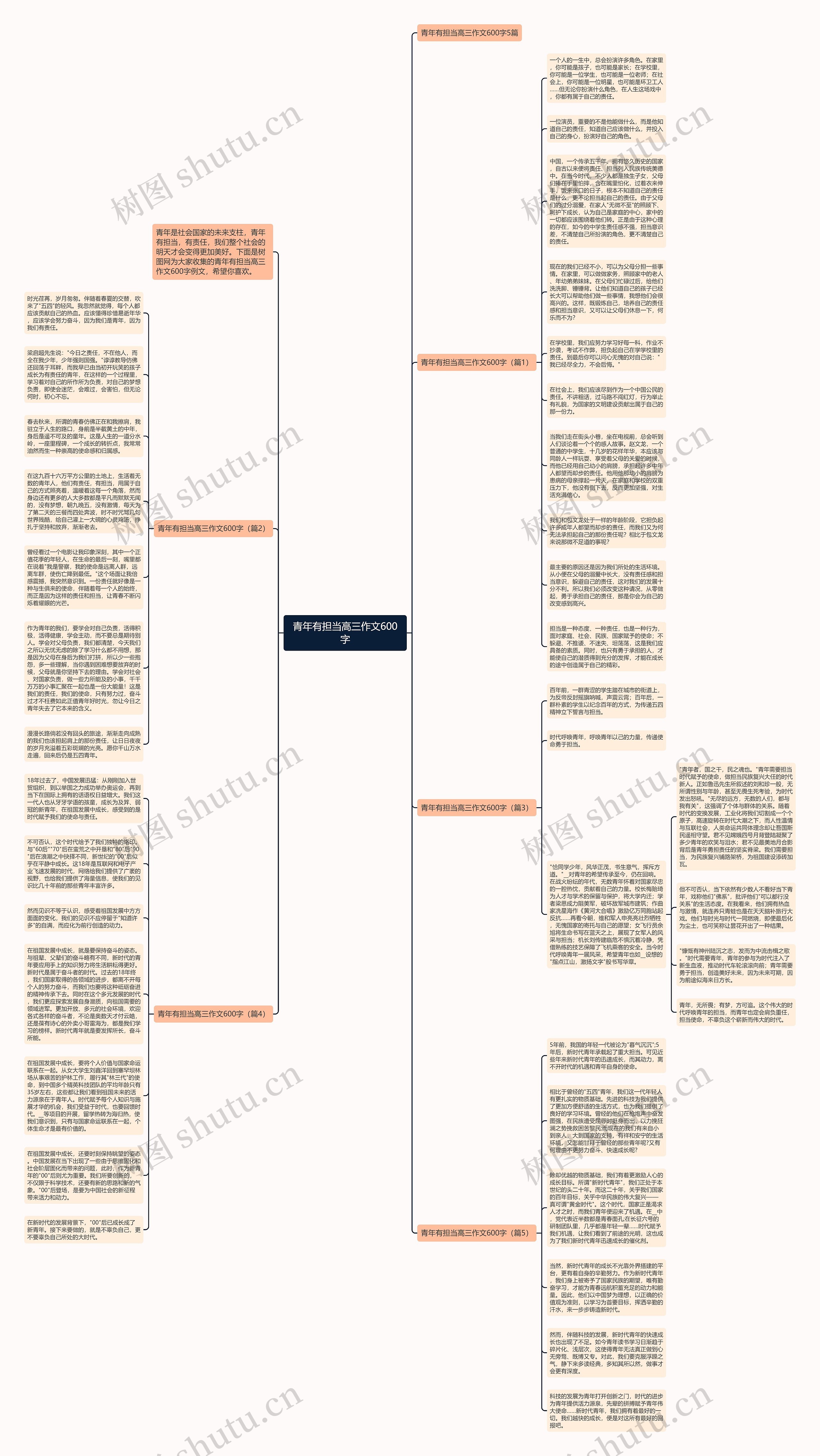 青年有担当高三作文600字思维导图