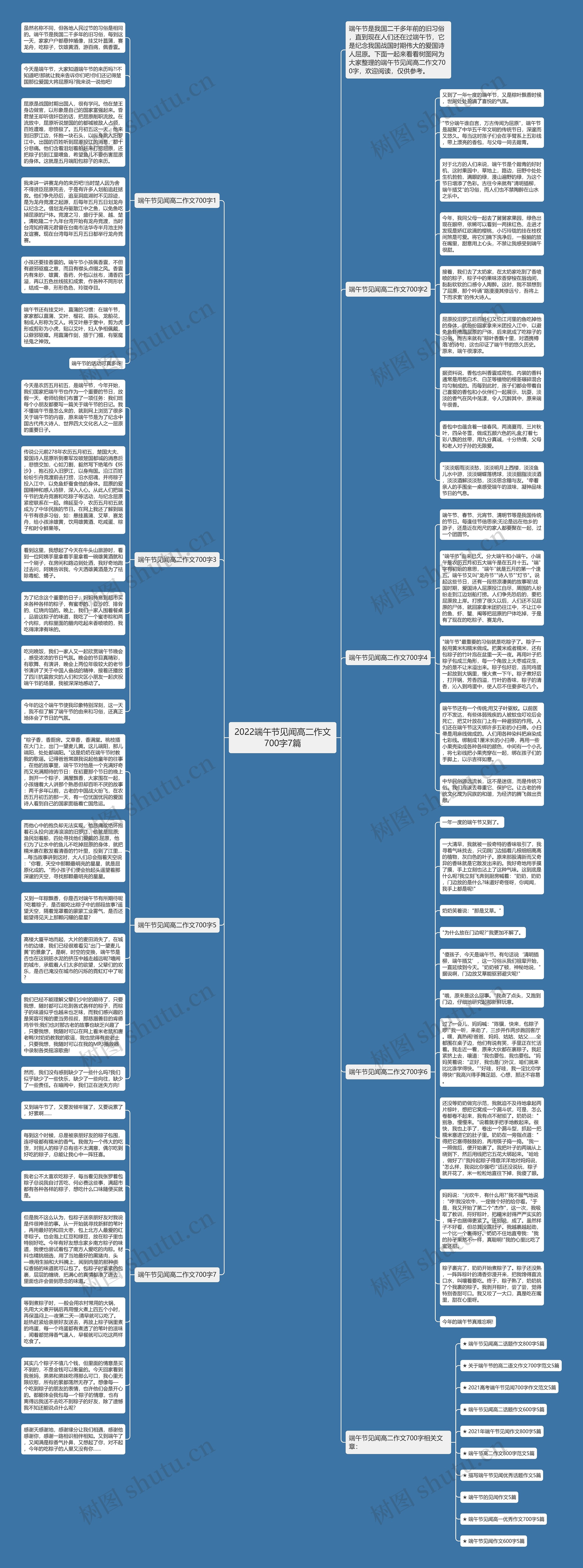 2022端午节见闻高二作文700字7篇思维导图