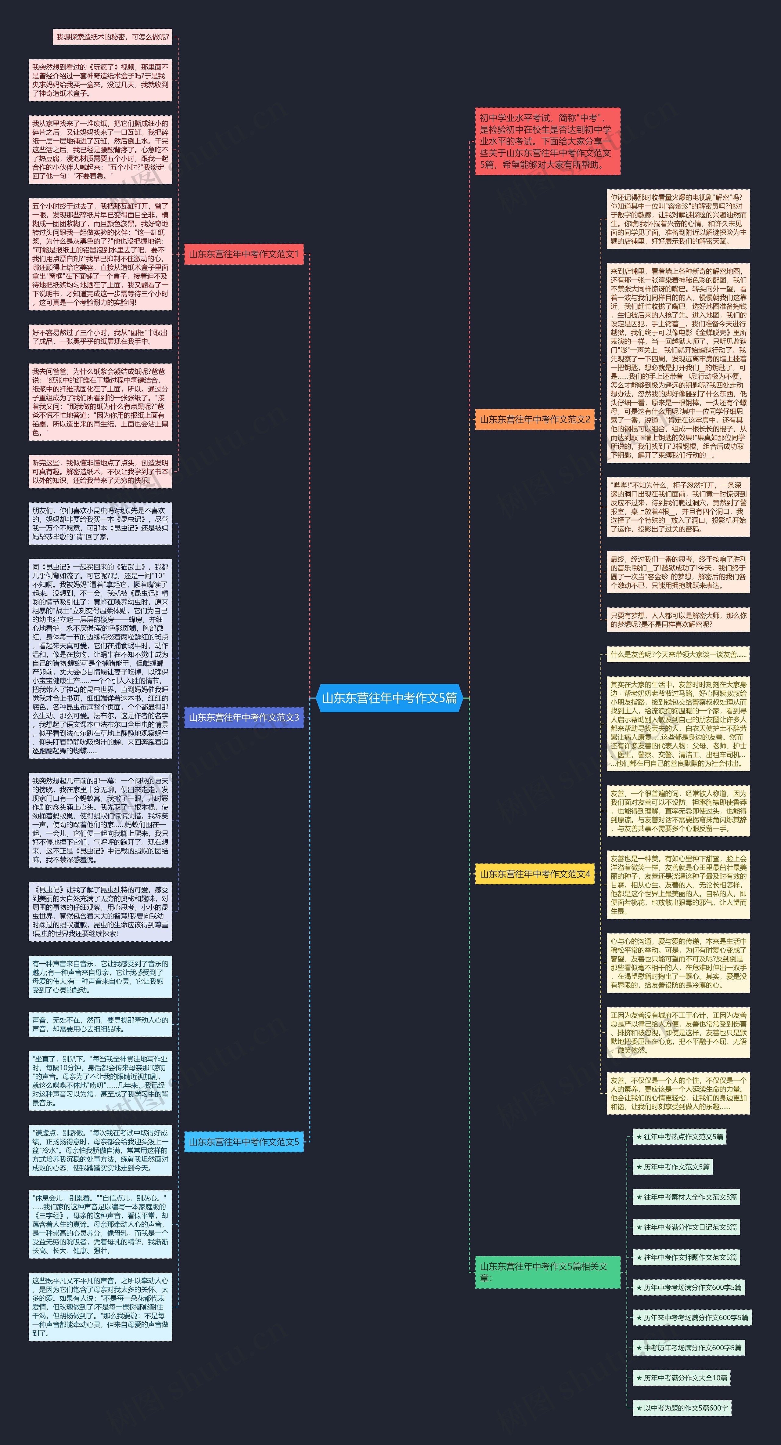 山东东营往年中考作文5篇思维导图