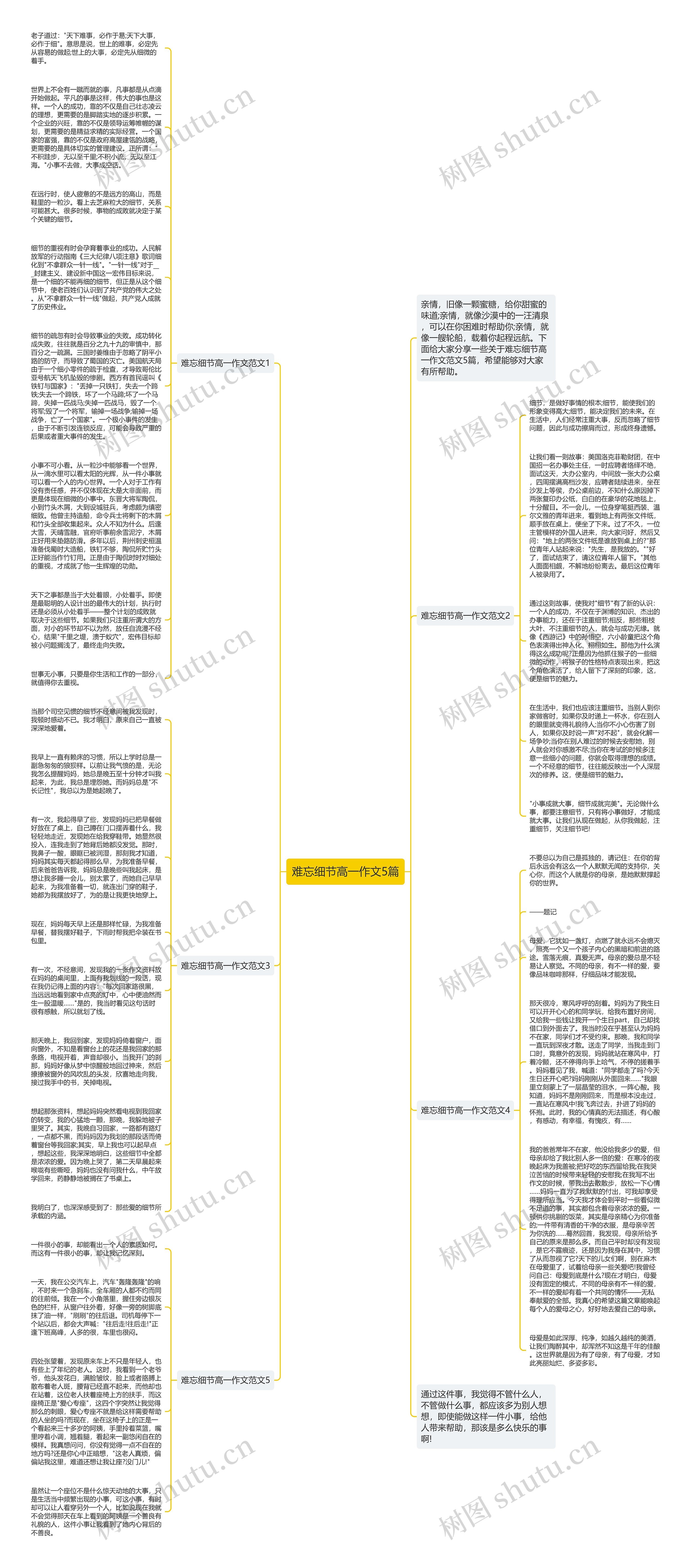 难忘细节高一作文5篇思维导图