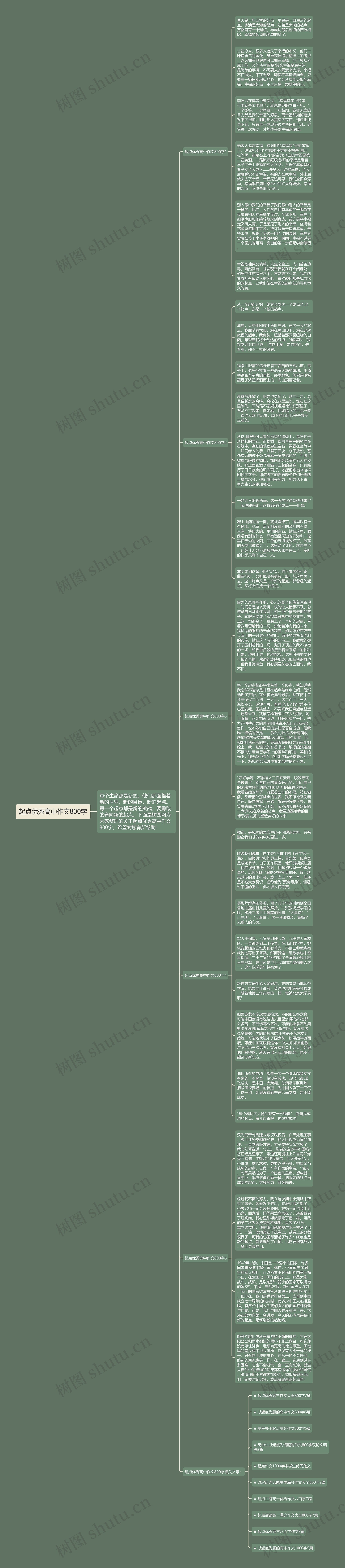 起点优秀高中作文800字思维导图