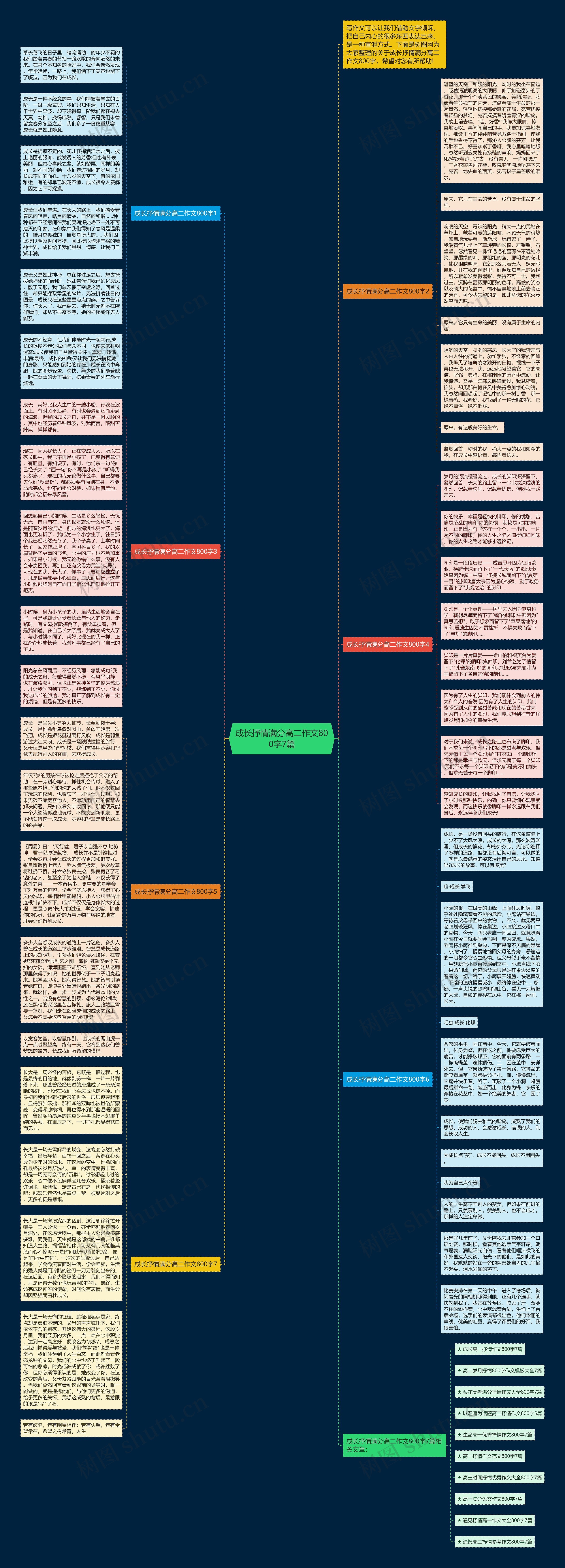 成长抒情满分高二作文800字7篇思维导图