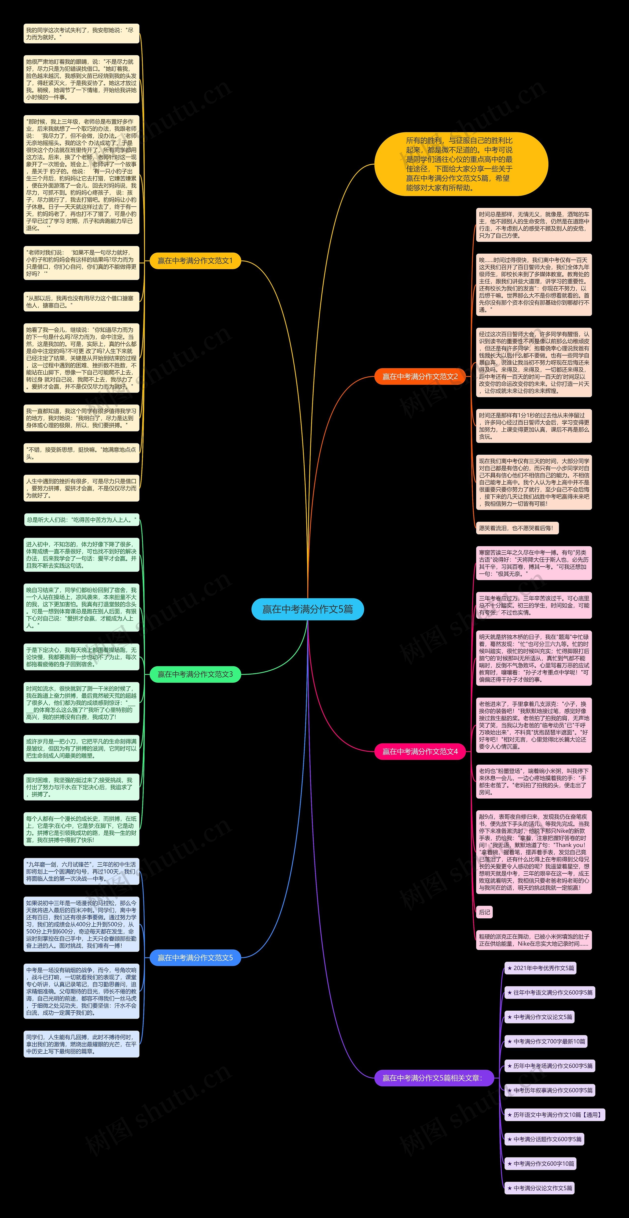 赢在中考满分作文5篇思维导图