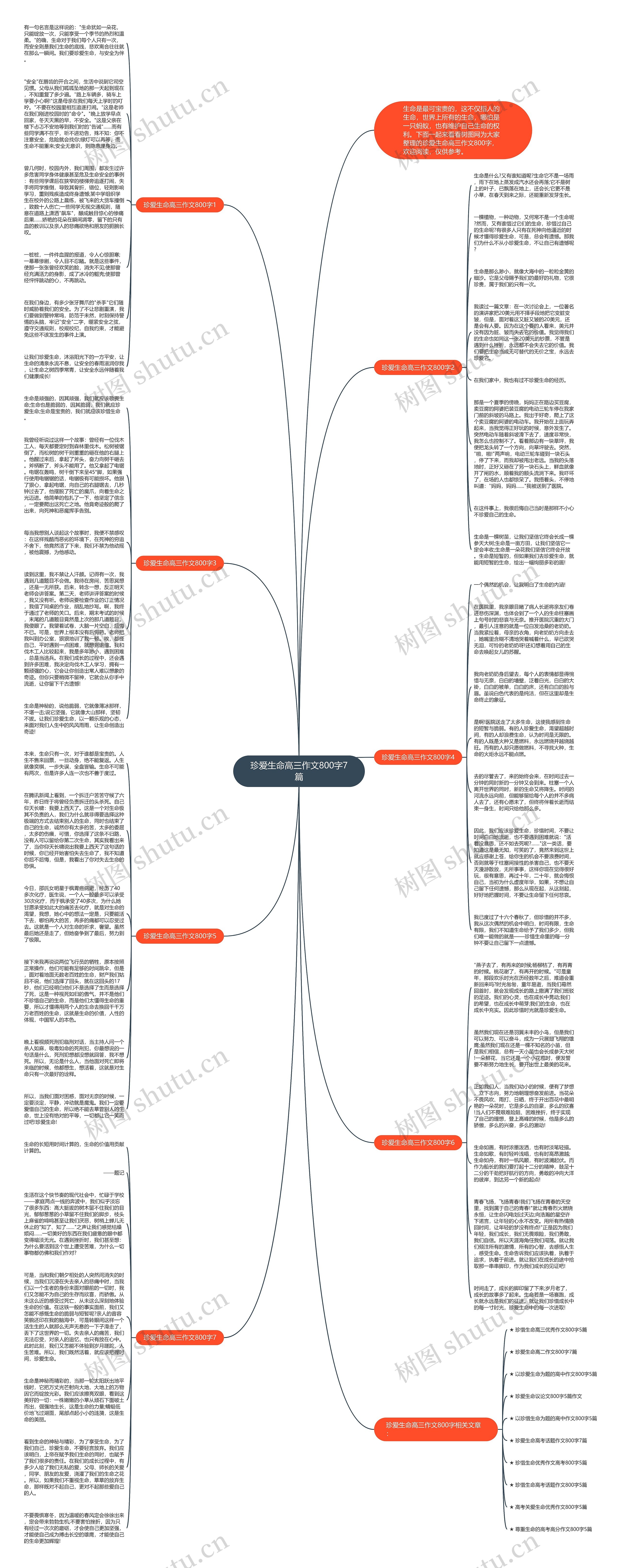 珍爱生命高三作文800字7篇思维导图