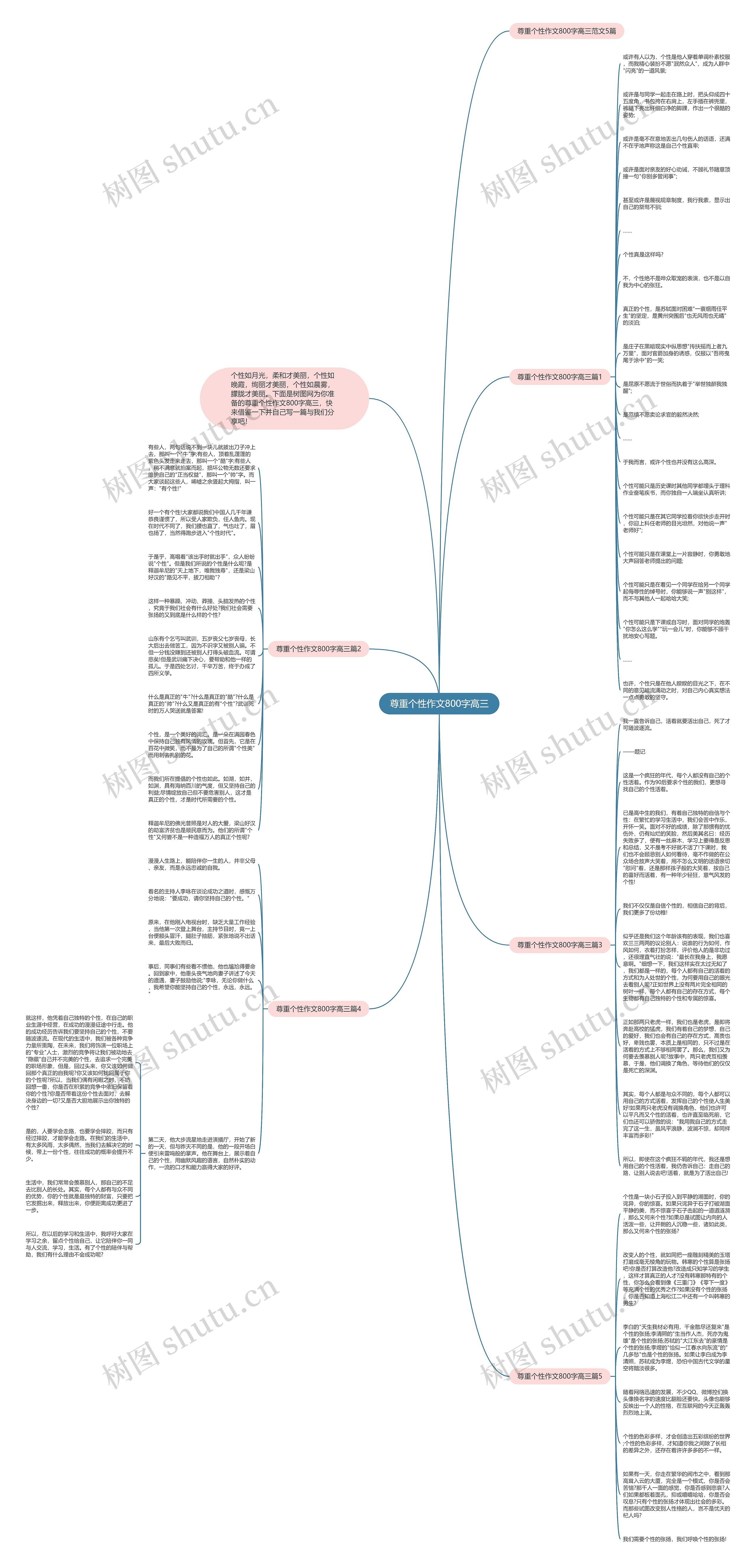 尊重个性作文800字高三思维导图