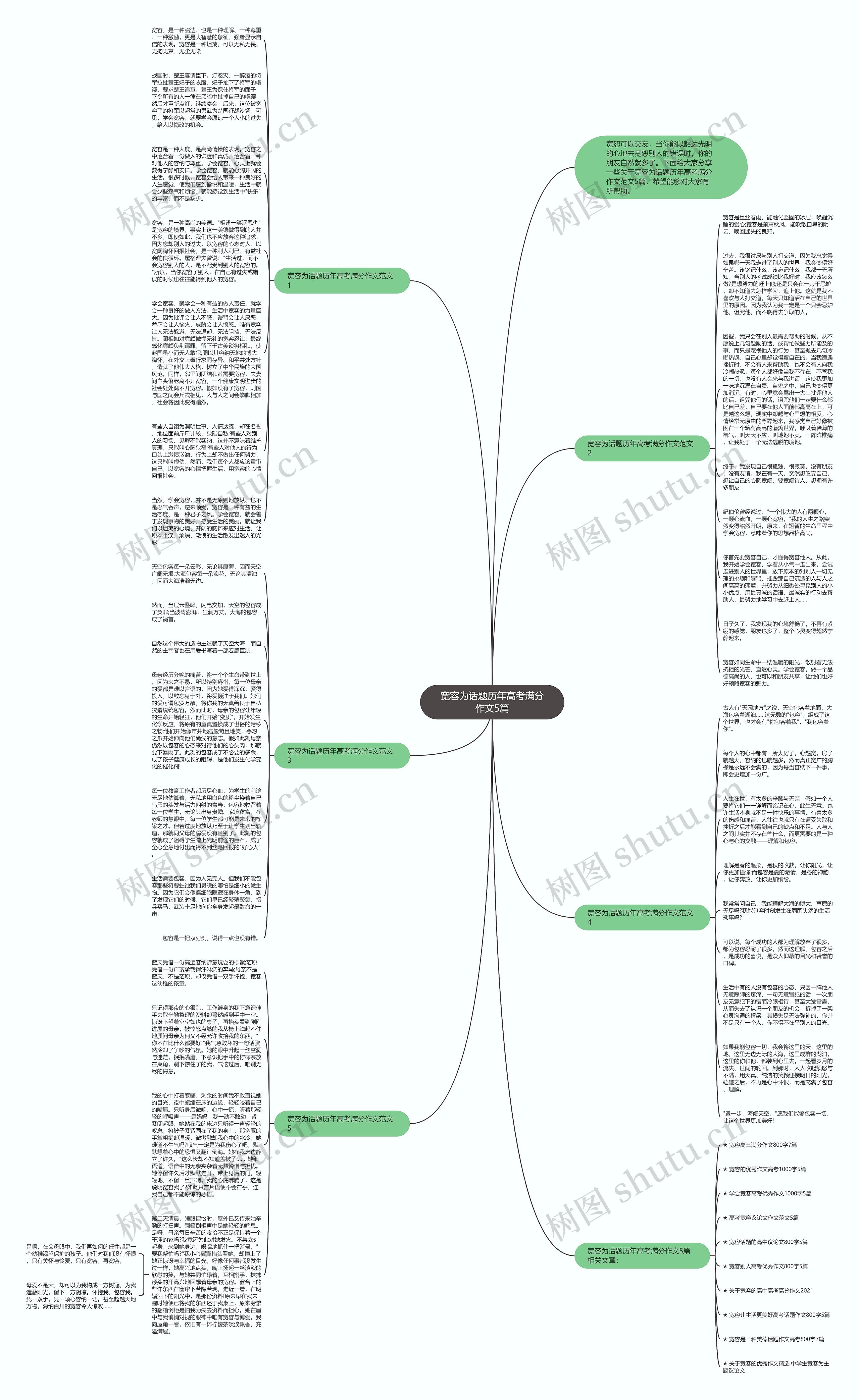 宽容为话题历年高考满分作文5篇思维导图