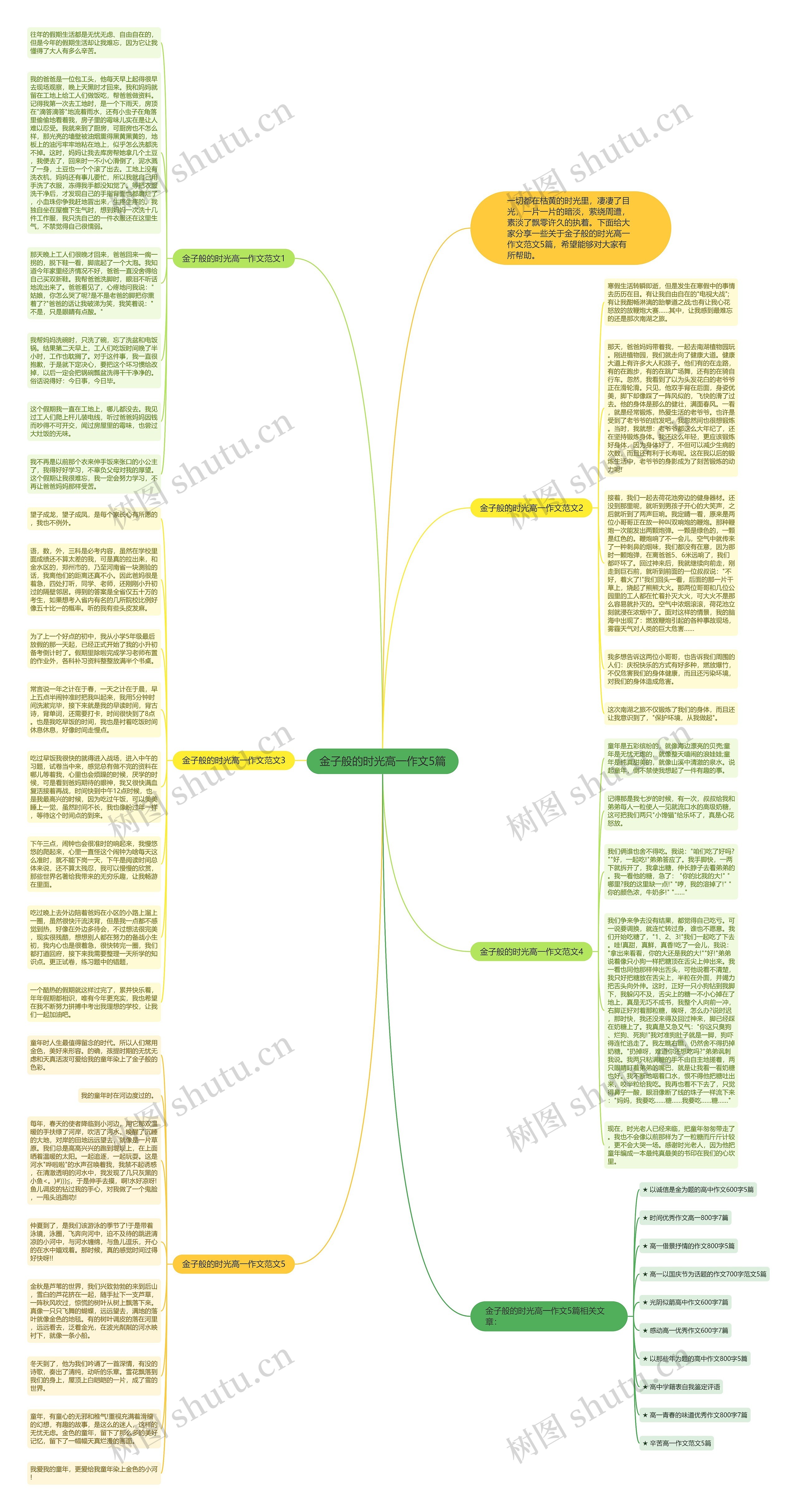 金子般的时光高一作文5篇思维导图